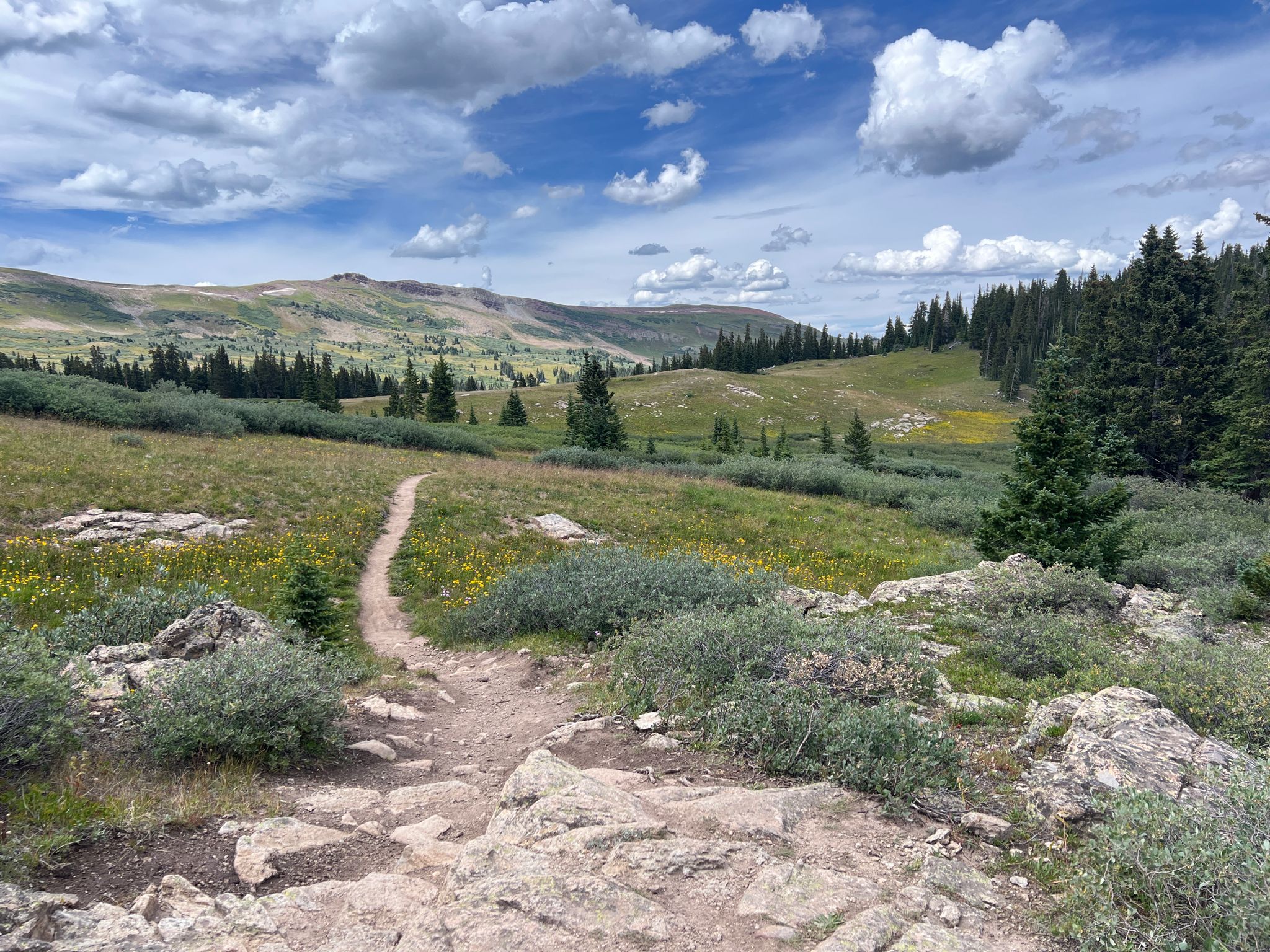 A winding dirt path through a grassy valley with distant mountains under cloudy skies. - Colorado Trail: Copper Mountain to Searle Pass