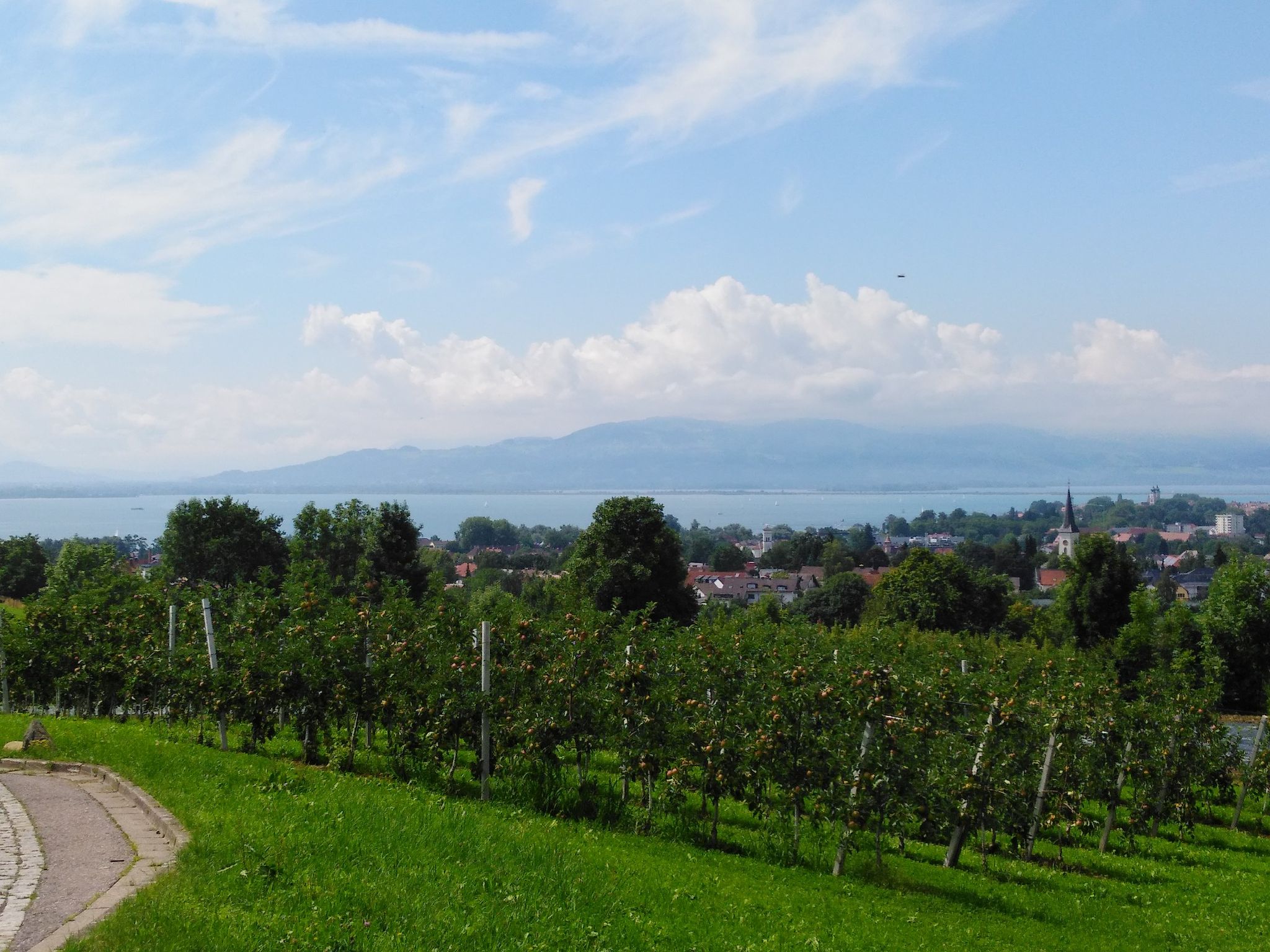 Blick auf Lindau