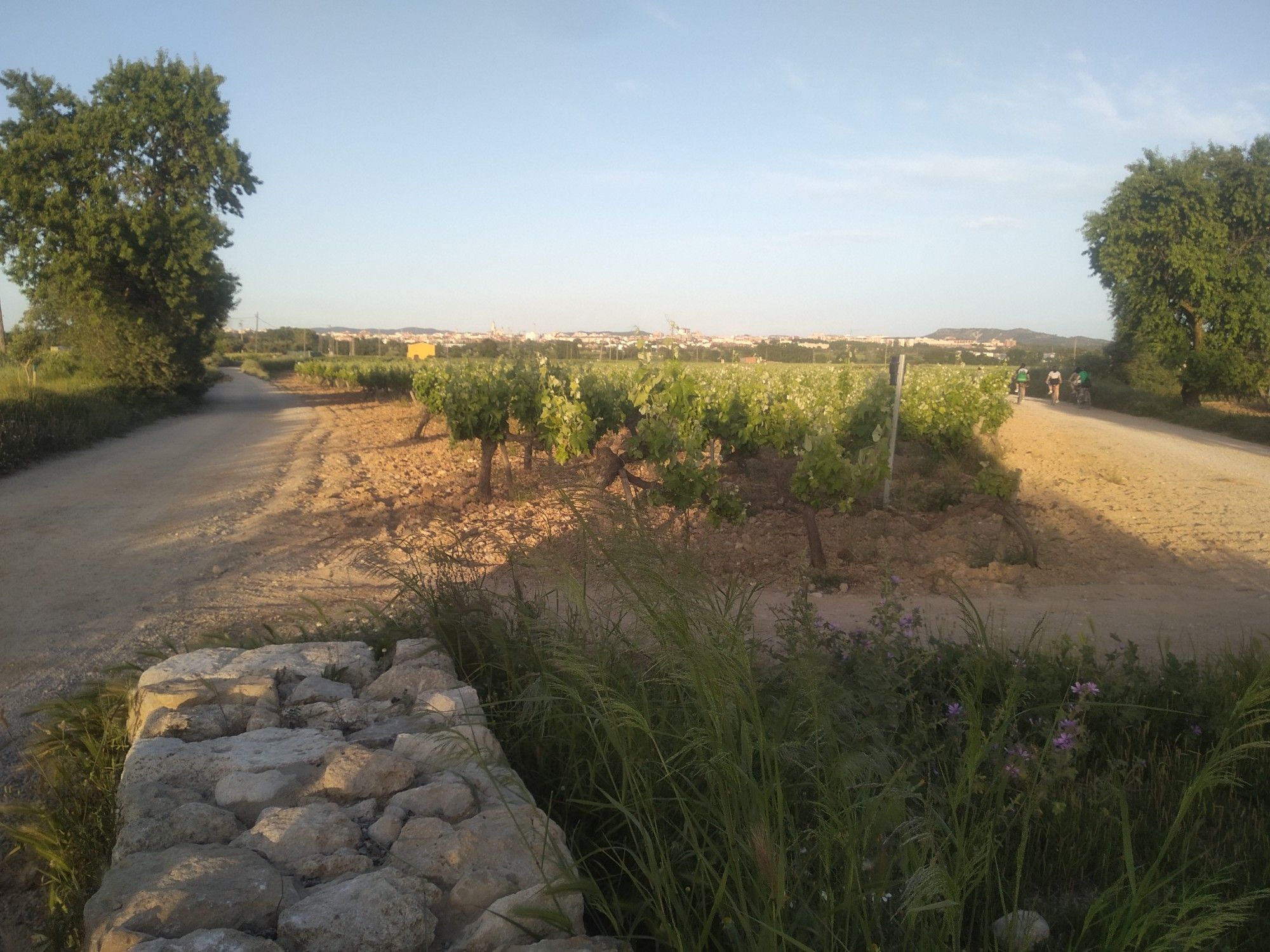 cruce camina a la torre cruce camins t aiguas