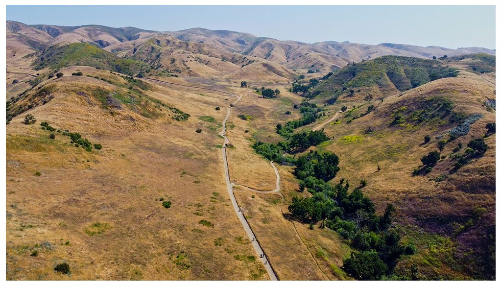 Aerial view of vast brown and green hills with winding dirt roads. - El Escorpión Park – El Escorpion Park loop from Fallbrook Center
