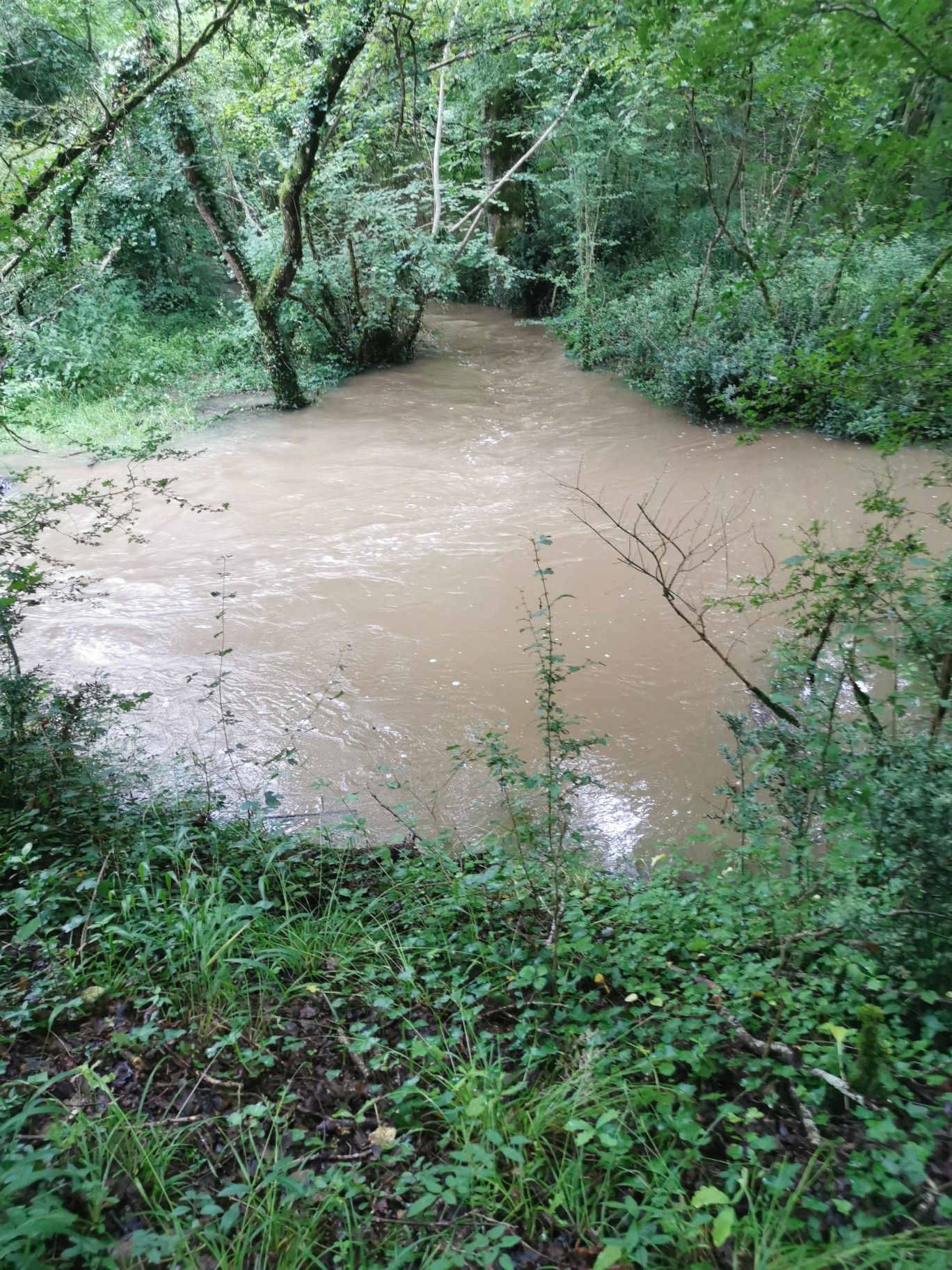 Le ruisseau est sorti de son lit 