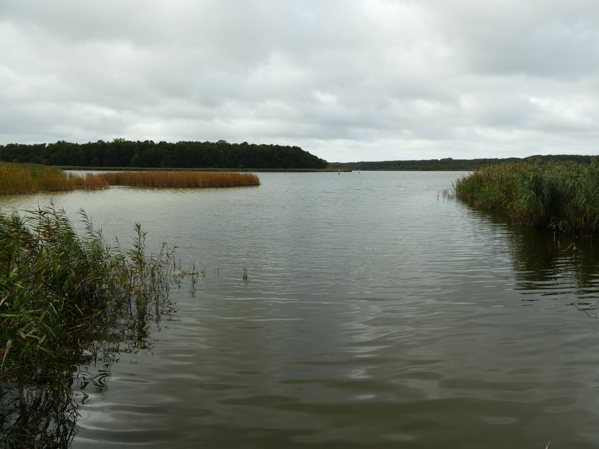 Bützsee