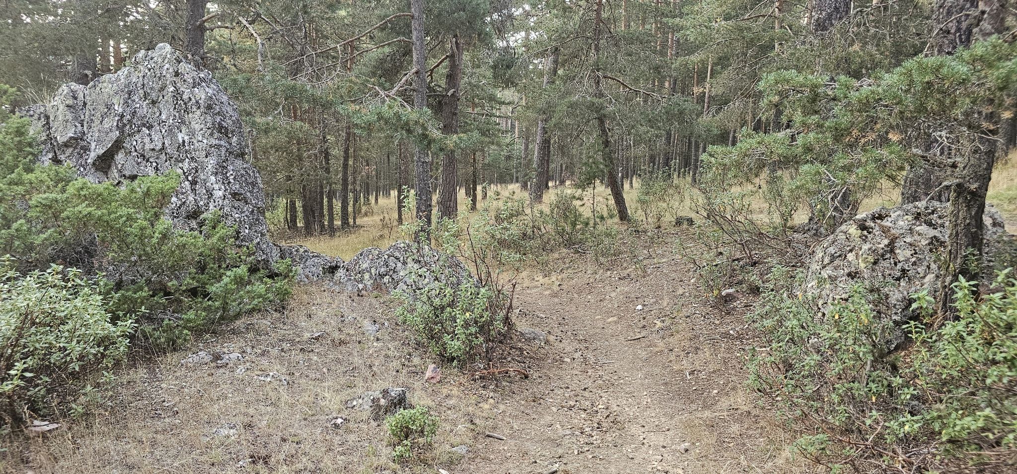 Sendero.