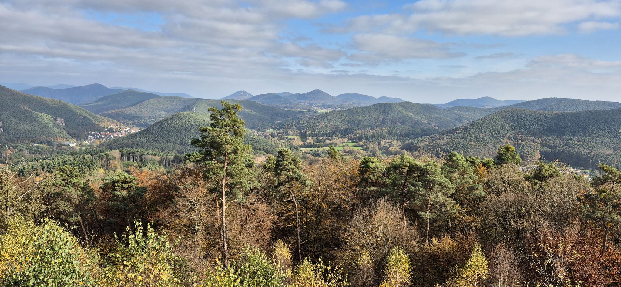 Pfälzerwald-Blick mit Lug