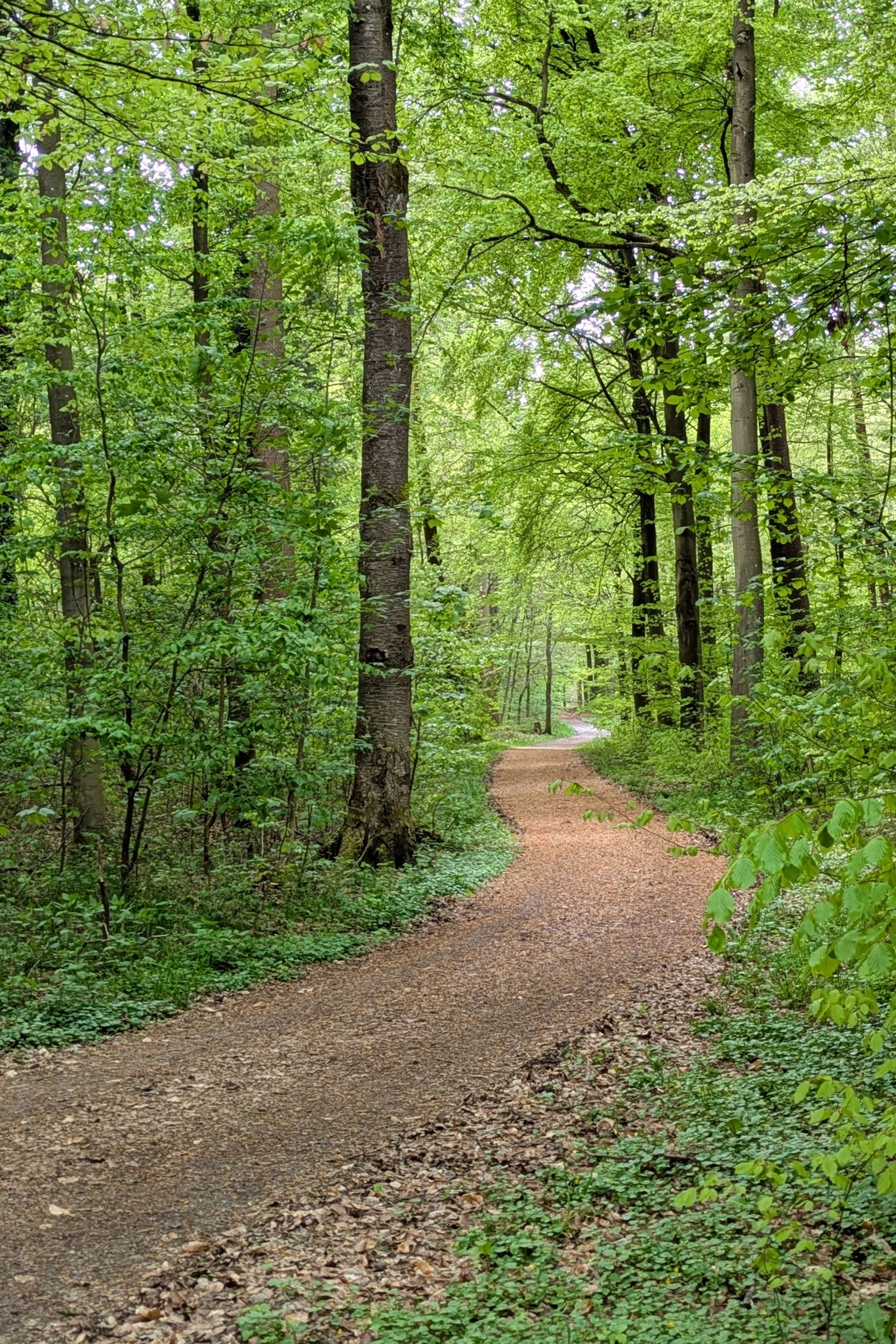 "Am Grenzweg"