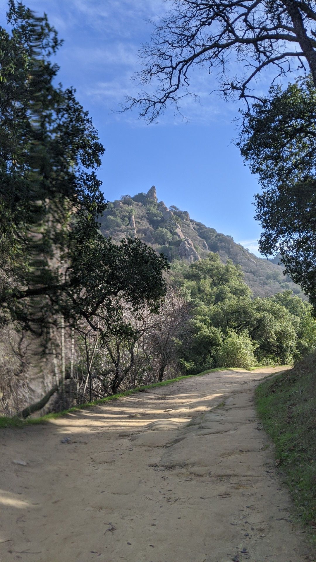 Dirt path through trees leading to a rocky mountain peak. - Stage Road Trail