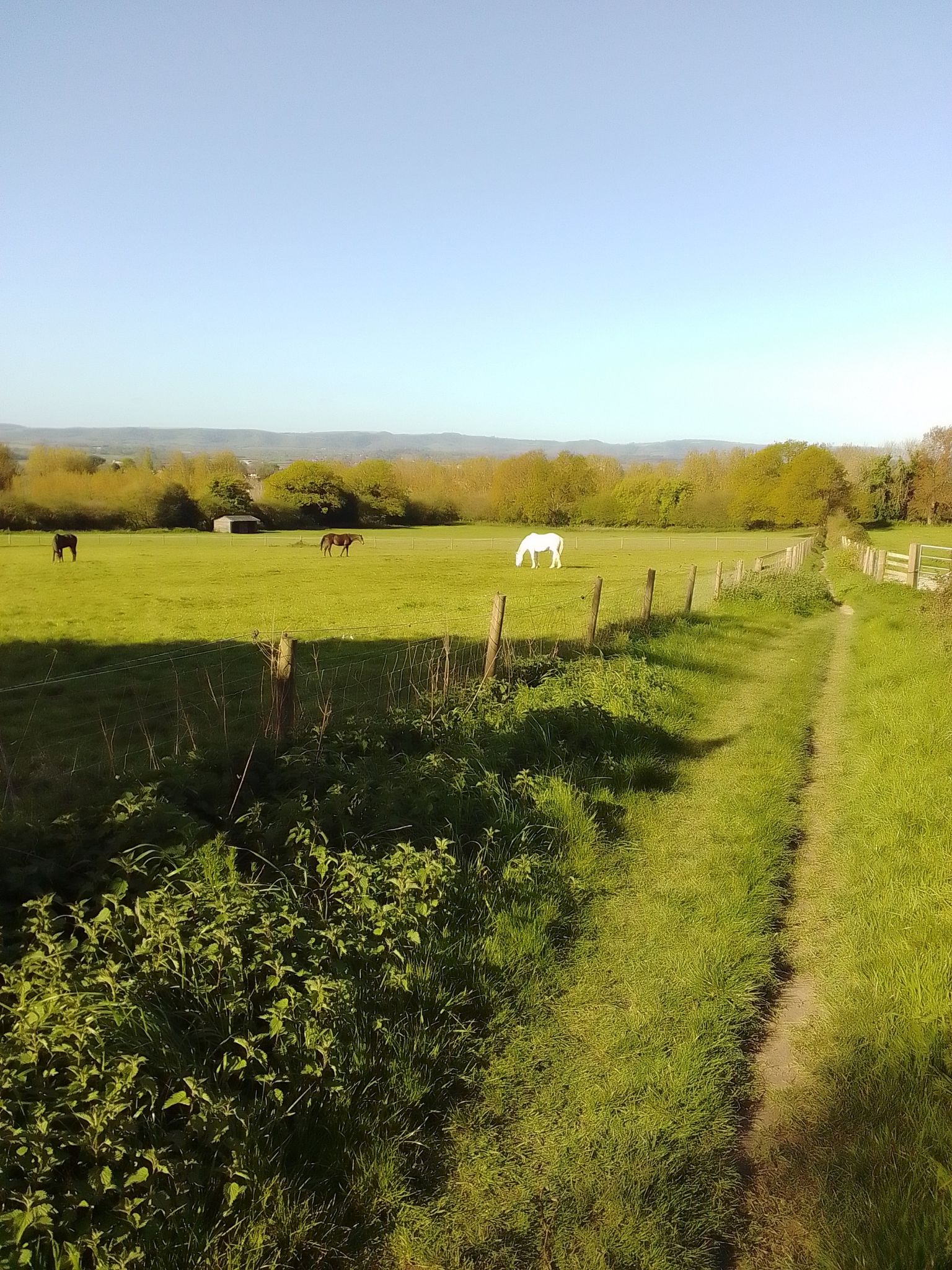 A beautiful morning over Pulborough