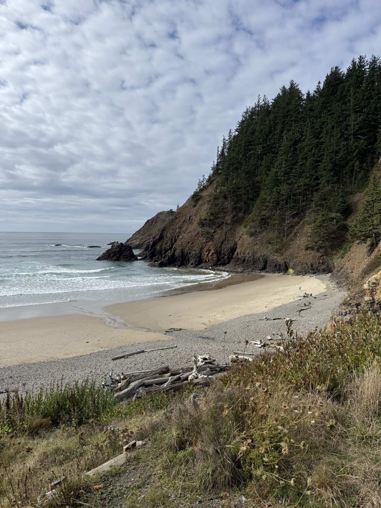 Overcast day on a sandy beach with waves, backed by a steep forested cliff. - Oregon Coast Trail: Ecola State Park Loop