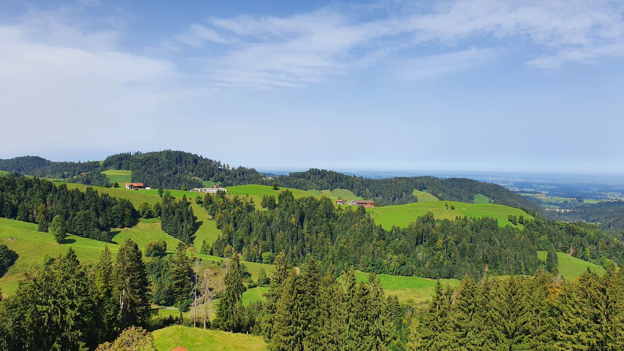 Blick zum Fuchsacker (höchster Hügel)
