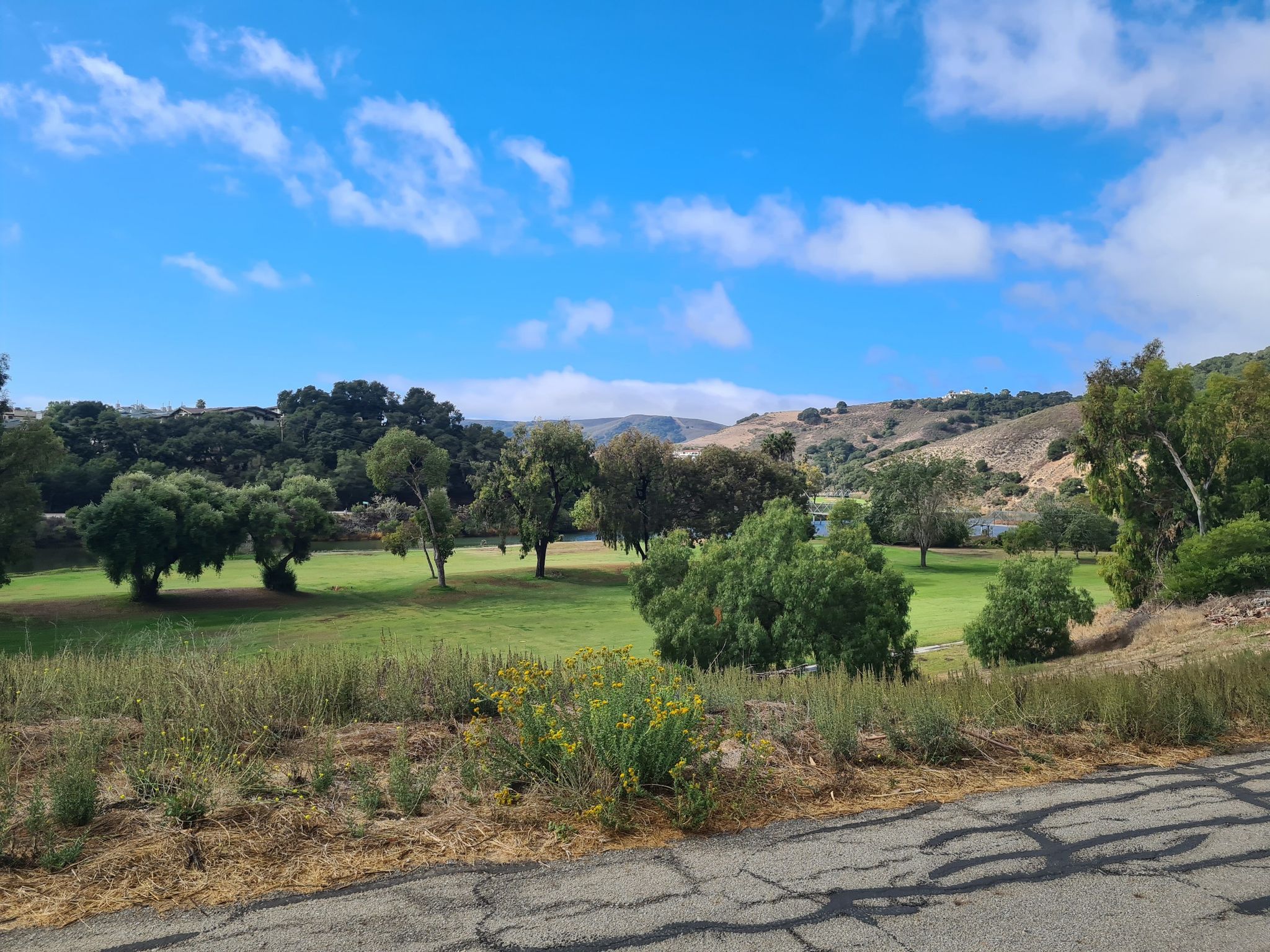 Green field and trees with rolling hills under a blue sky. - Bridge over Pismo Creek – Pismo Beach loop from Grover Beach