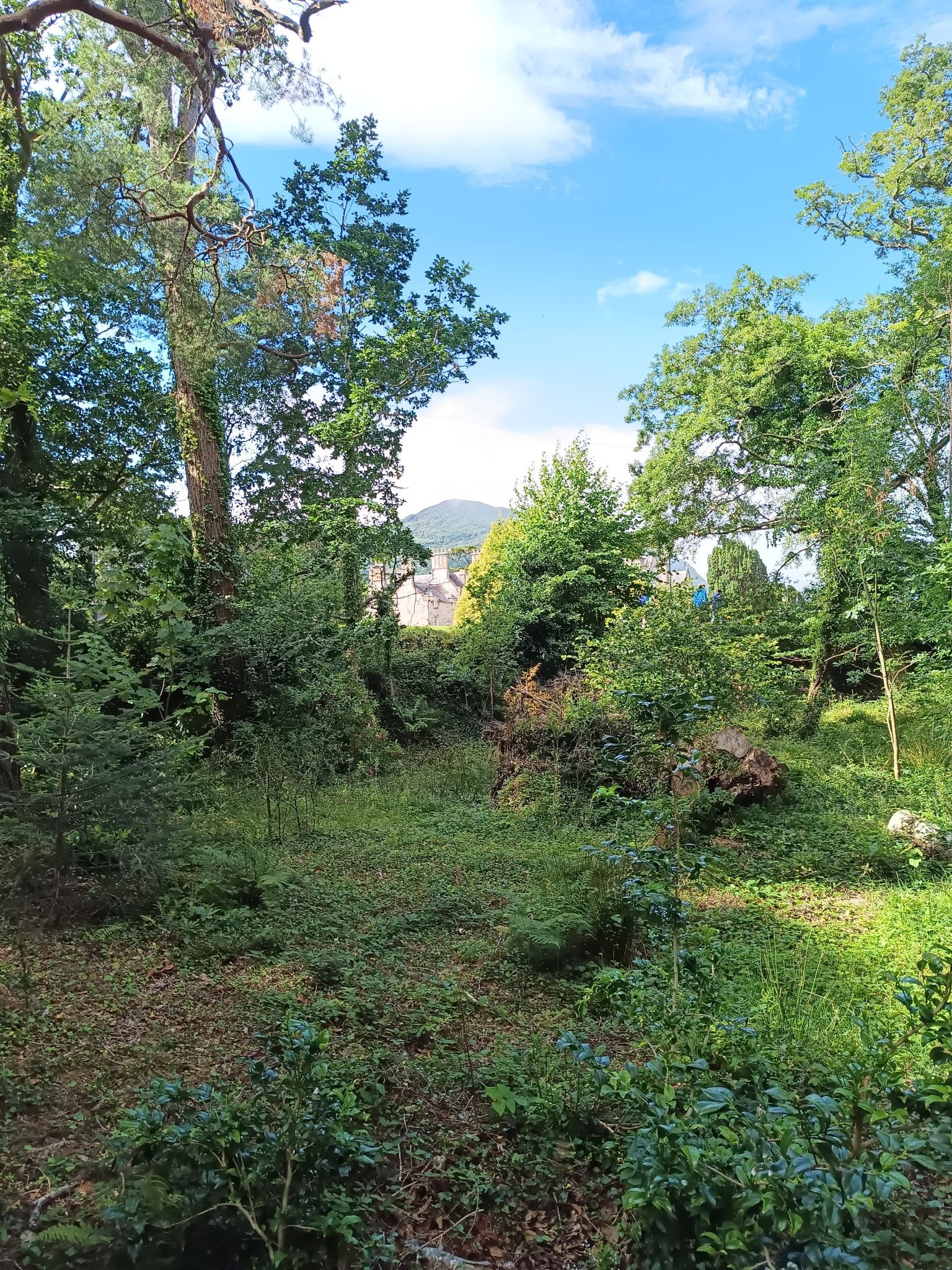 muckross House