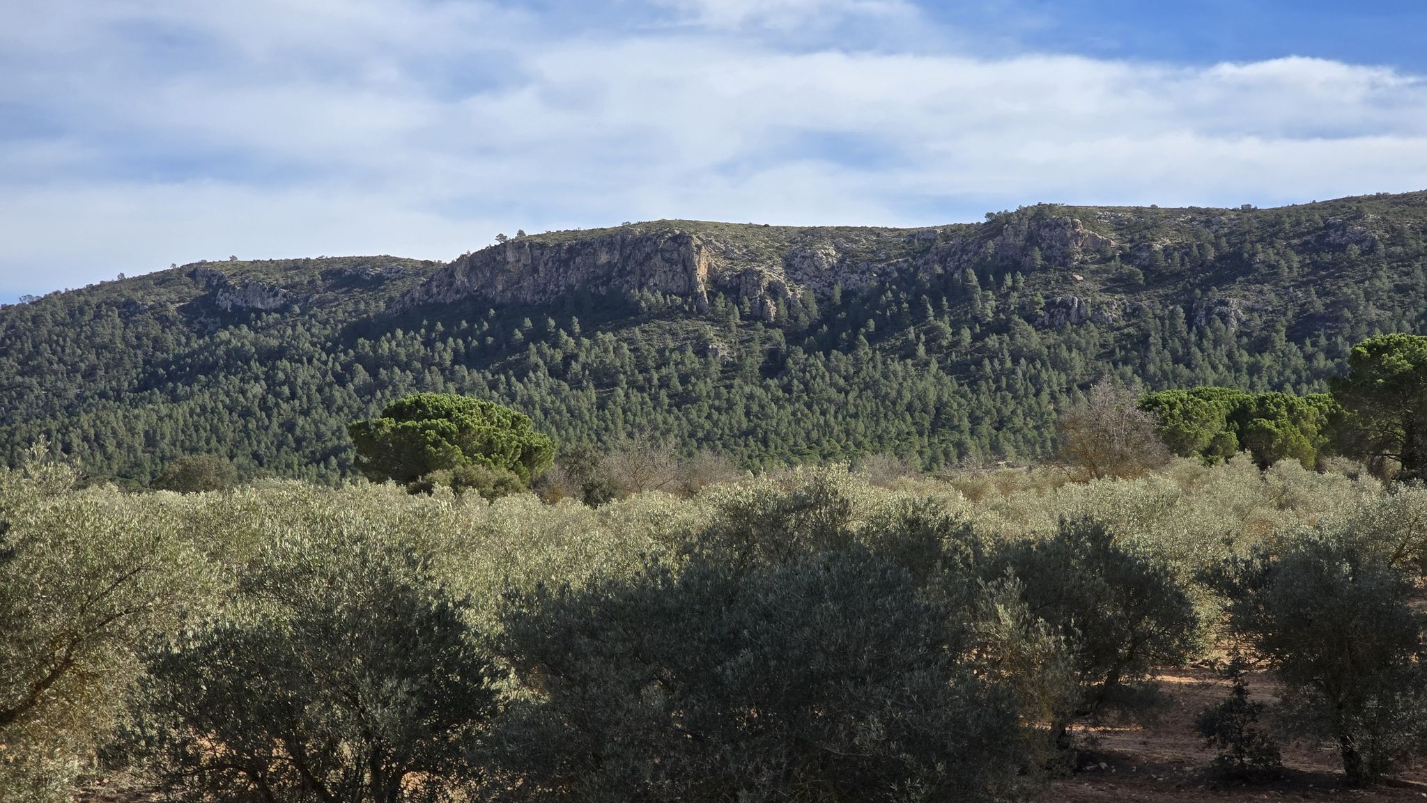 Blick auf Alt de la Zafra