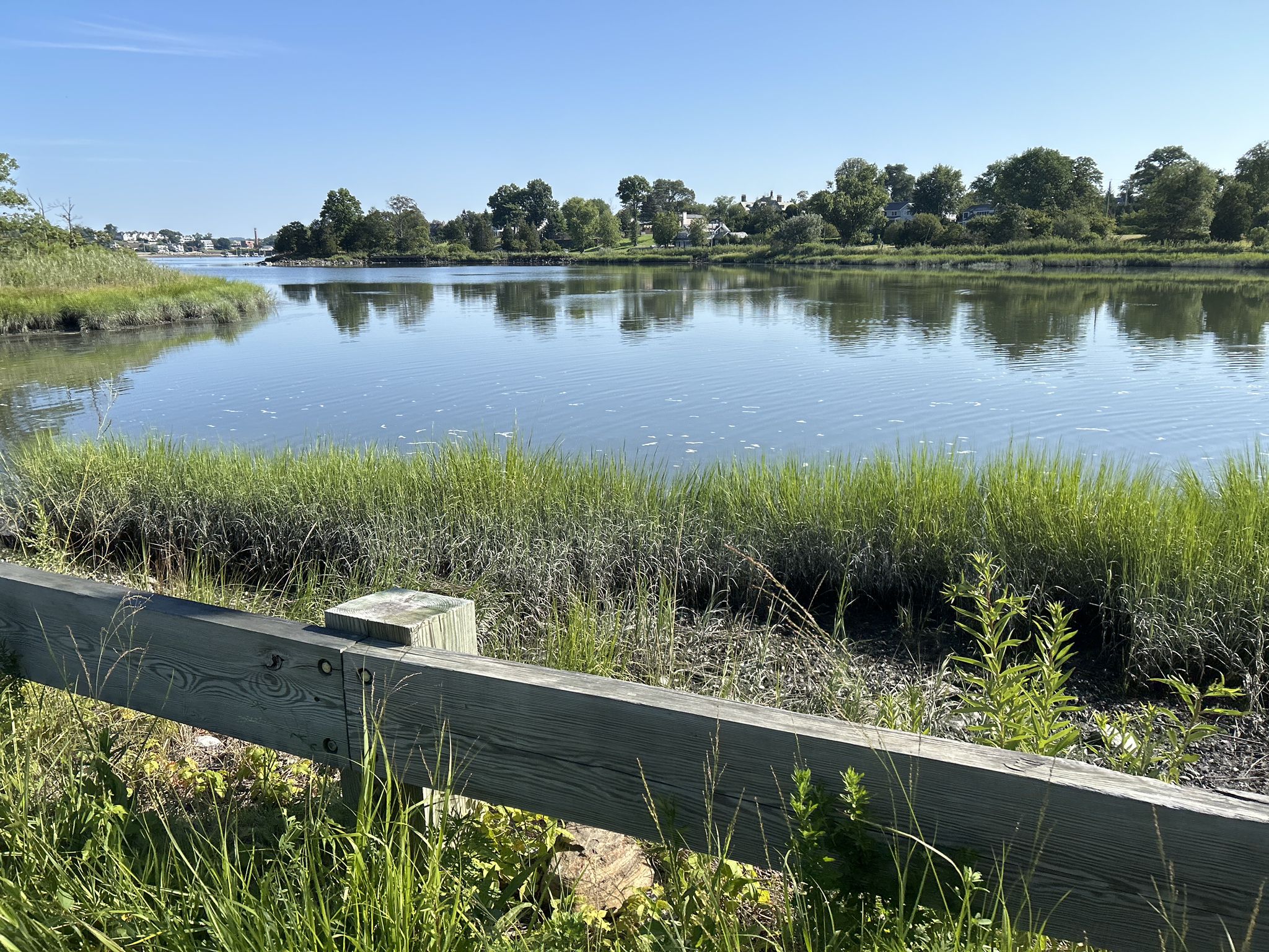 Calm water reflecting trees, with a wooden fence and green grass. - Playland Lake – Red Mill at Kirby Tidal Pond loop from Mamaroneck