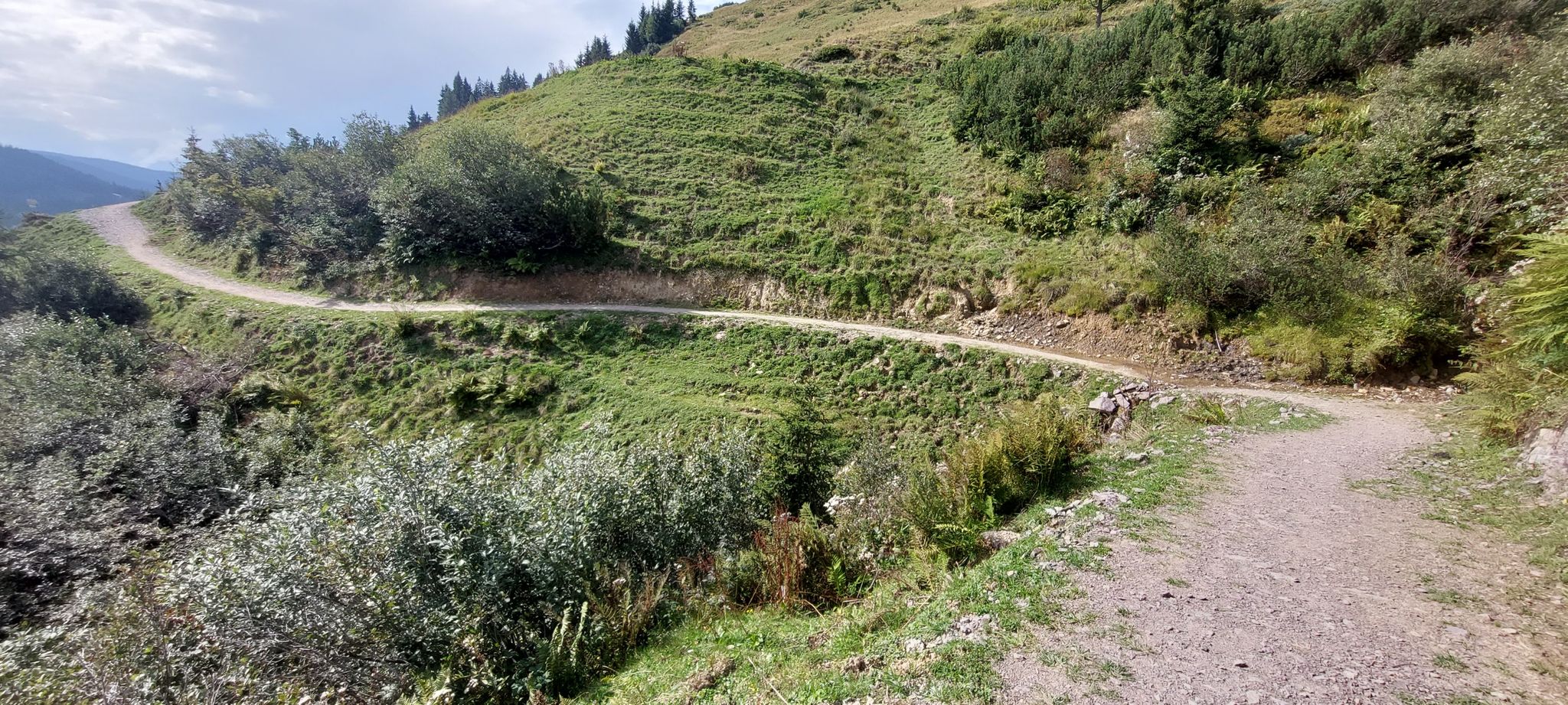 Rückweg 1