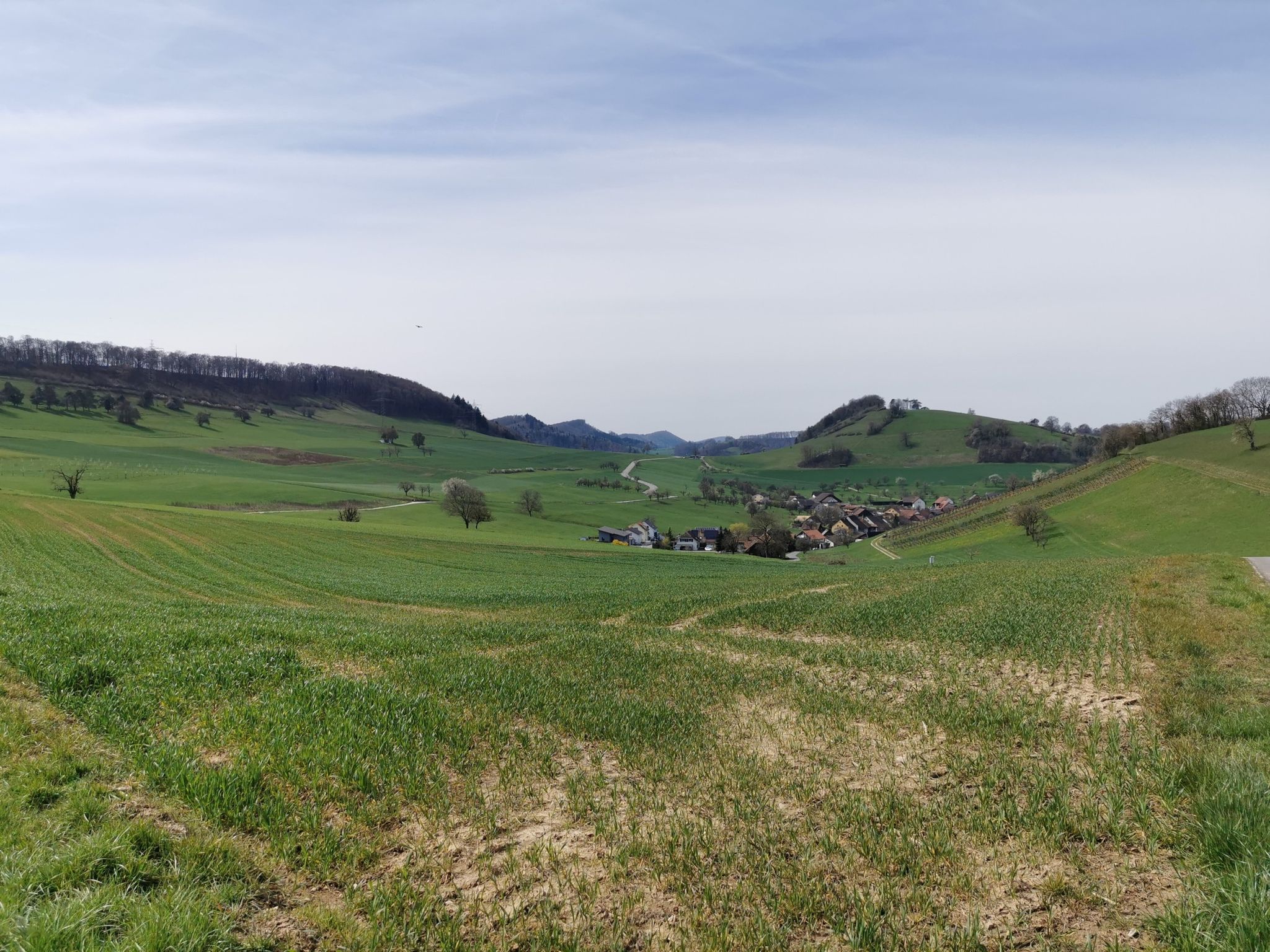 Blick auf Mandach
