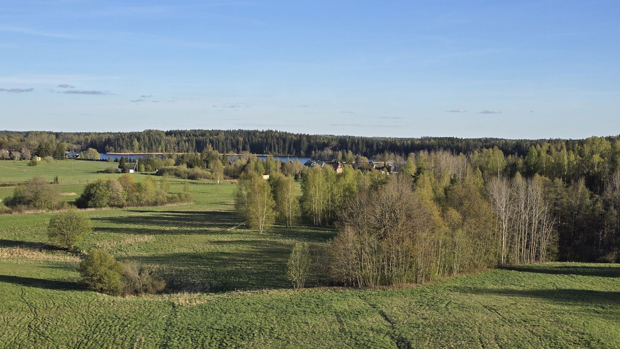 Beržoras
