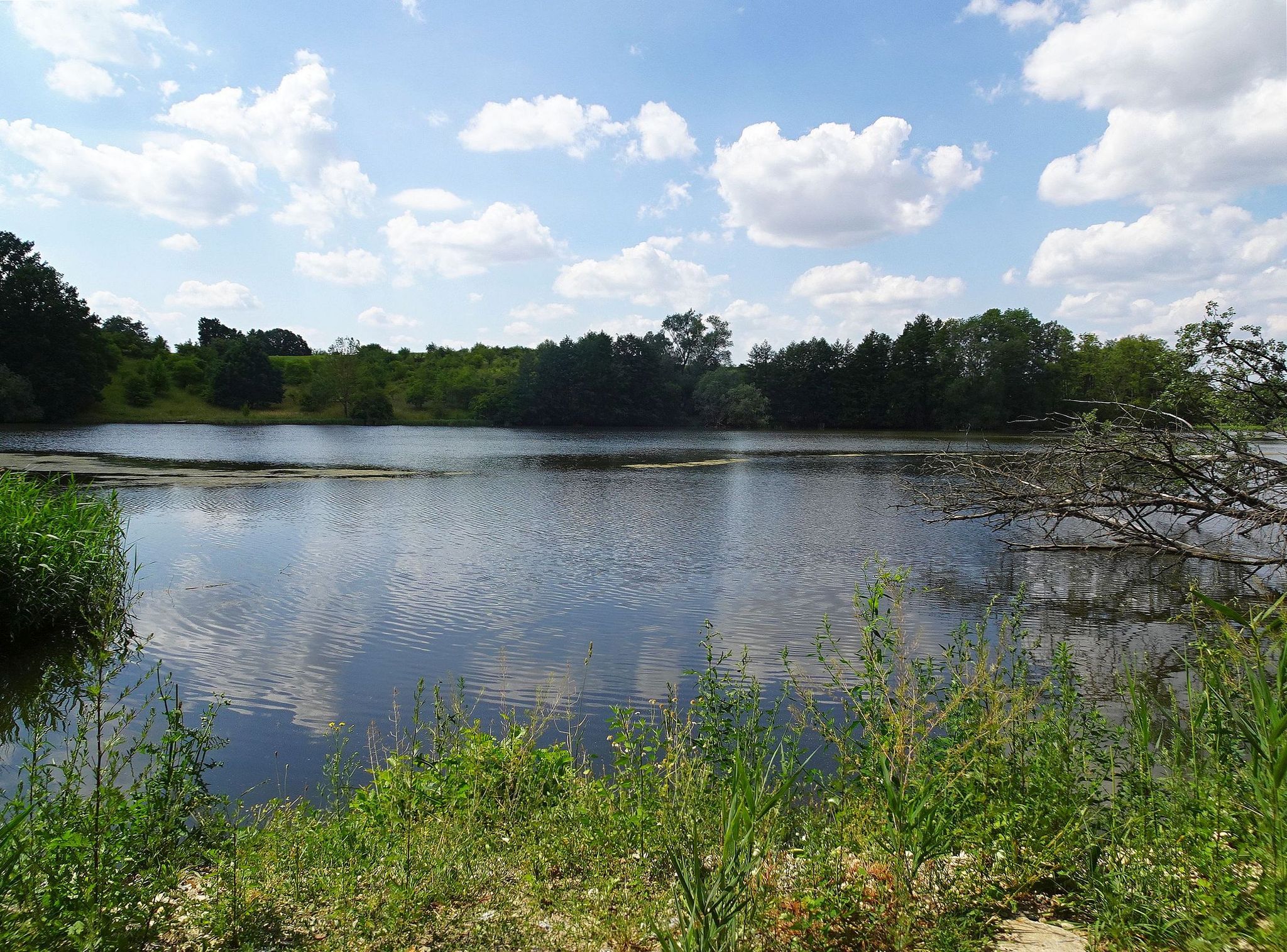 Batzlower Mühlen- bzw. Fischteiche