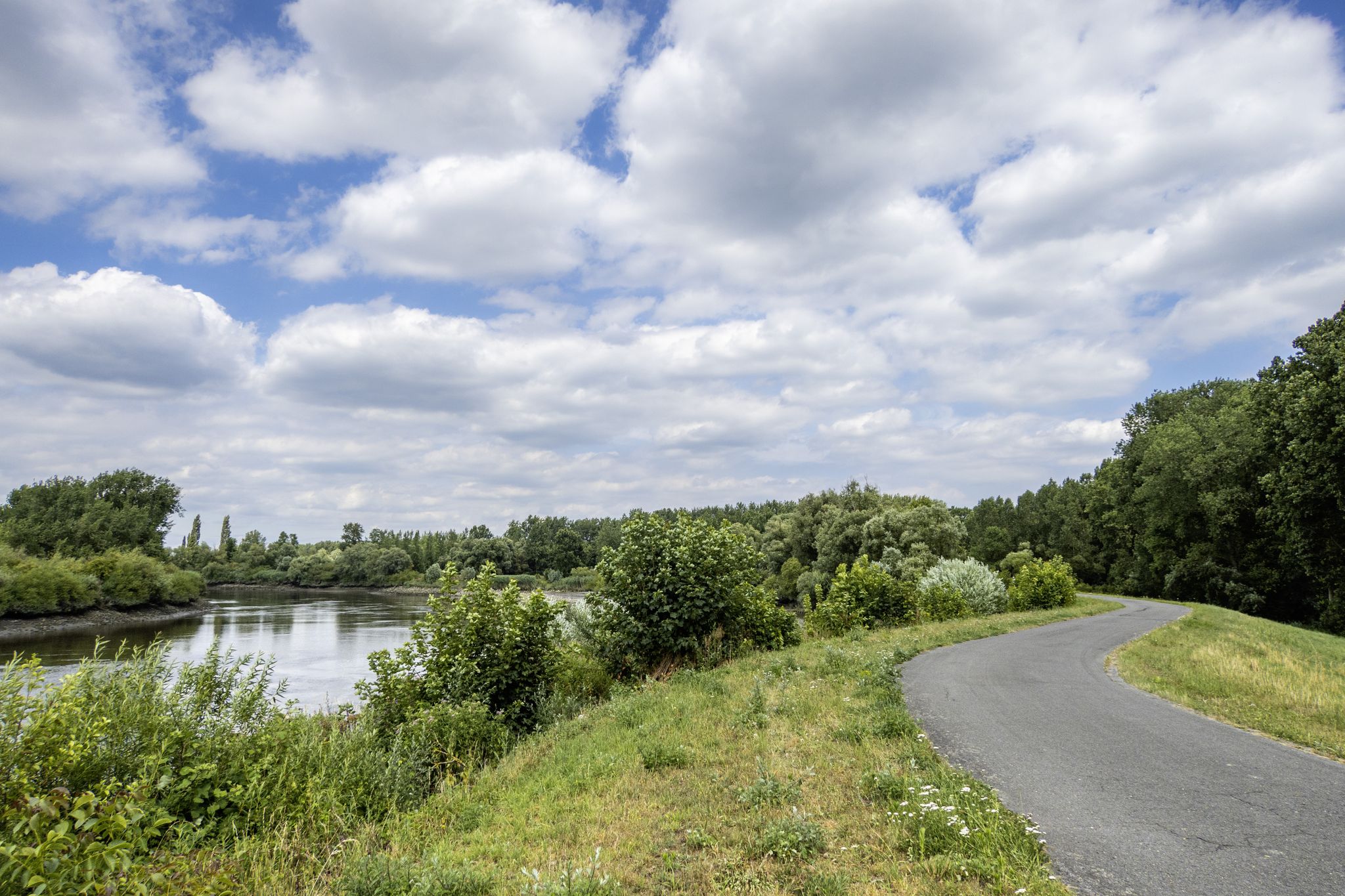Op de dijk naast de Schelde bij Dendermonde