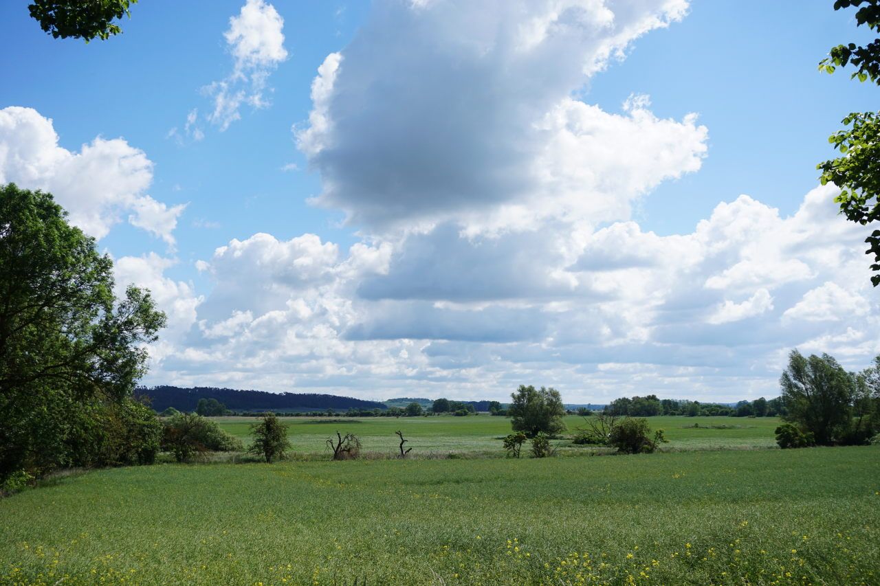 bei Wendemark - Vereinigung von Randow- und Welsebruch