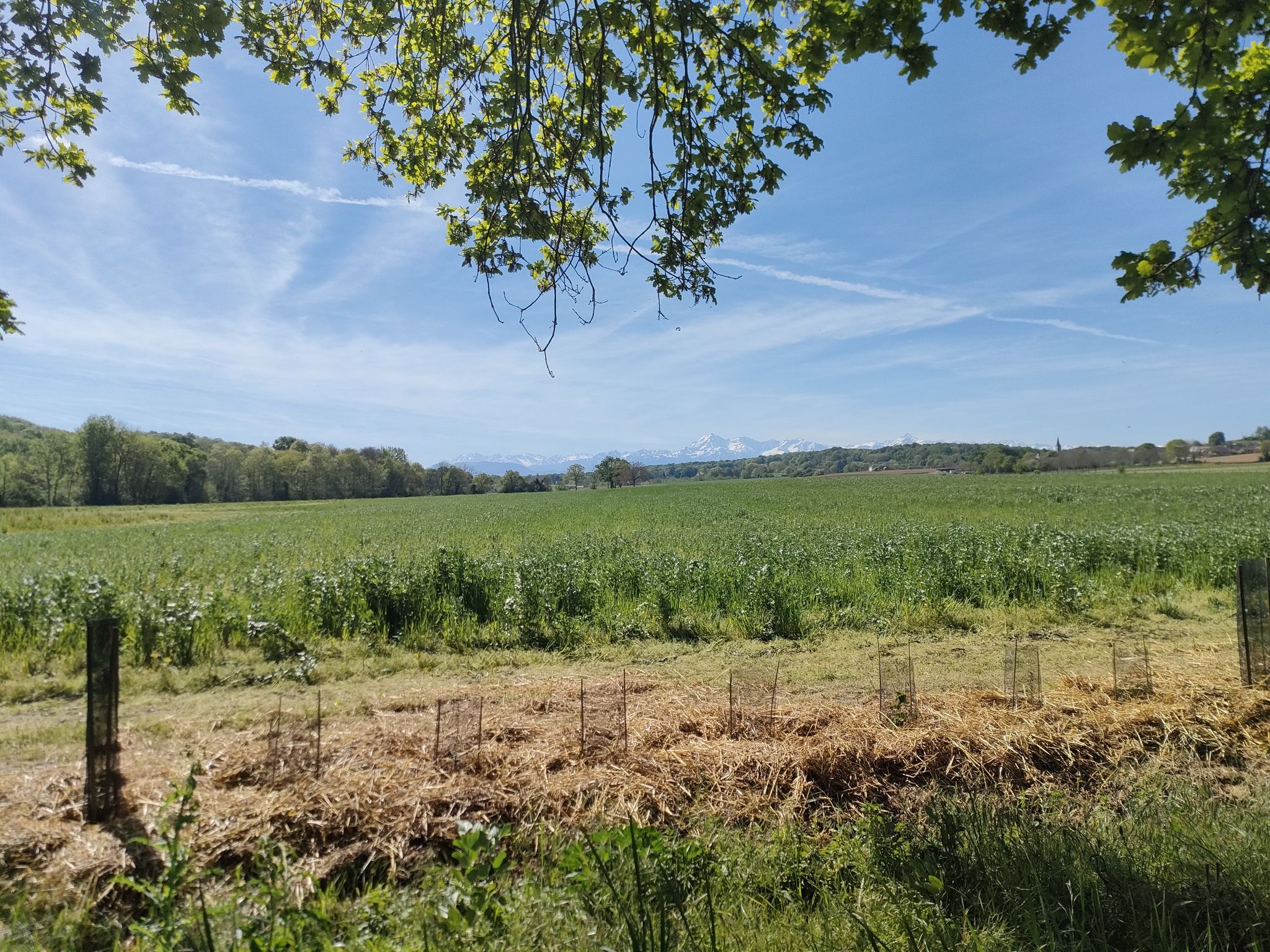 Panorama de ouf!