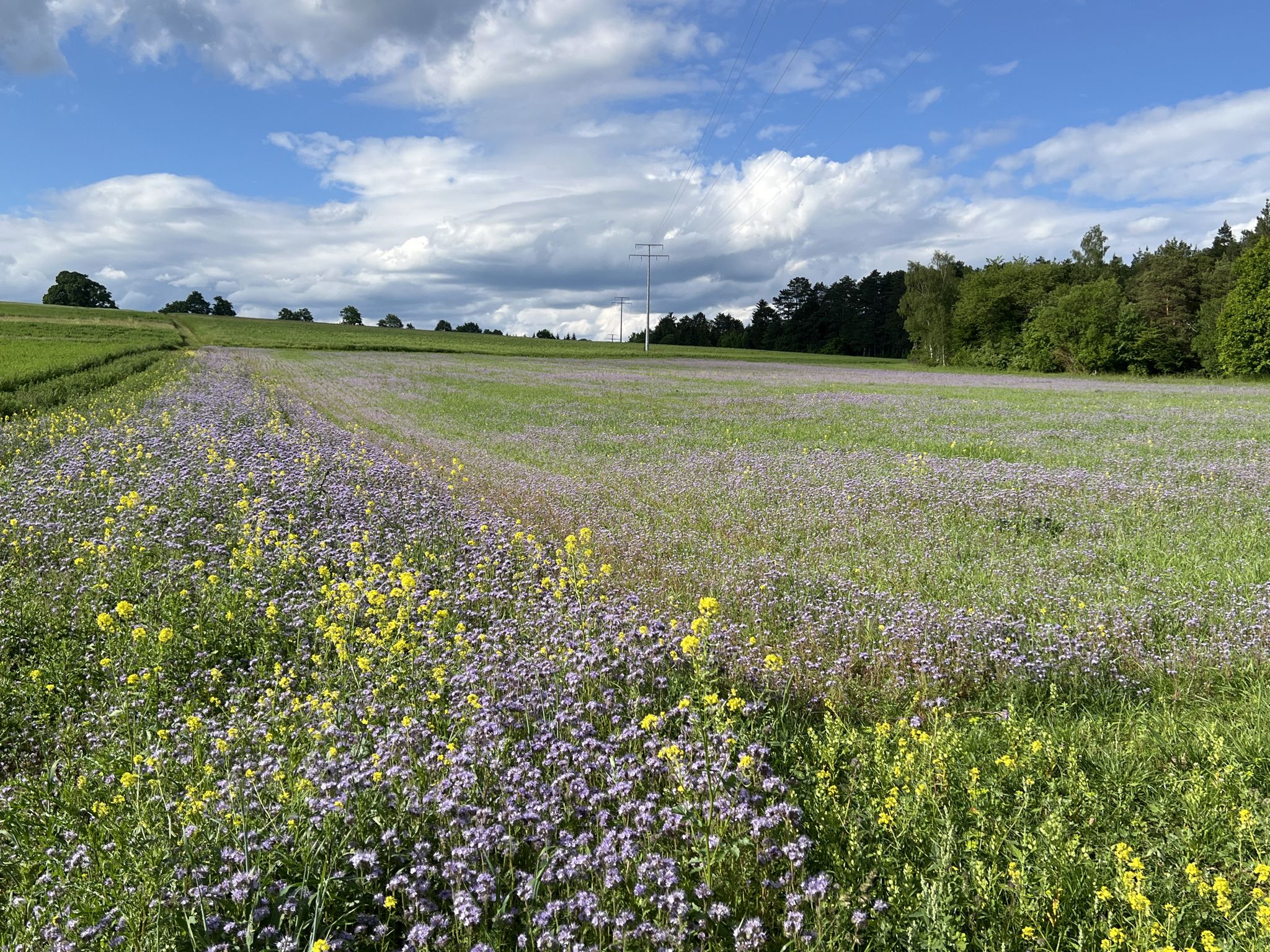 Farbenspiel