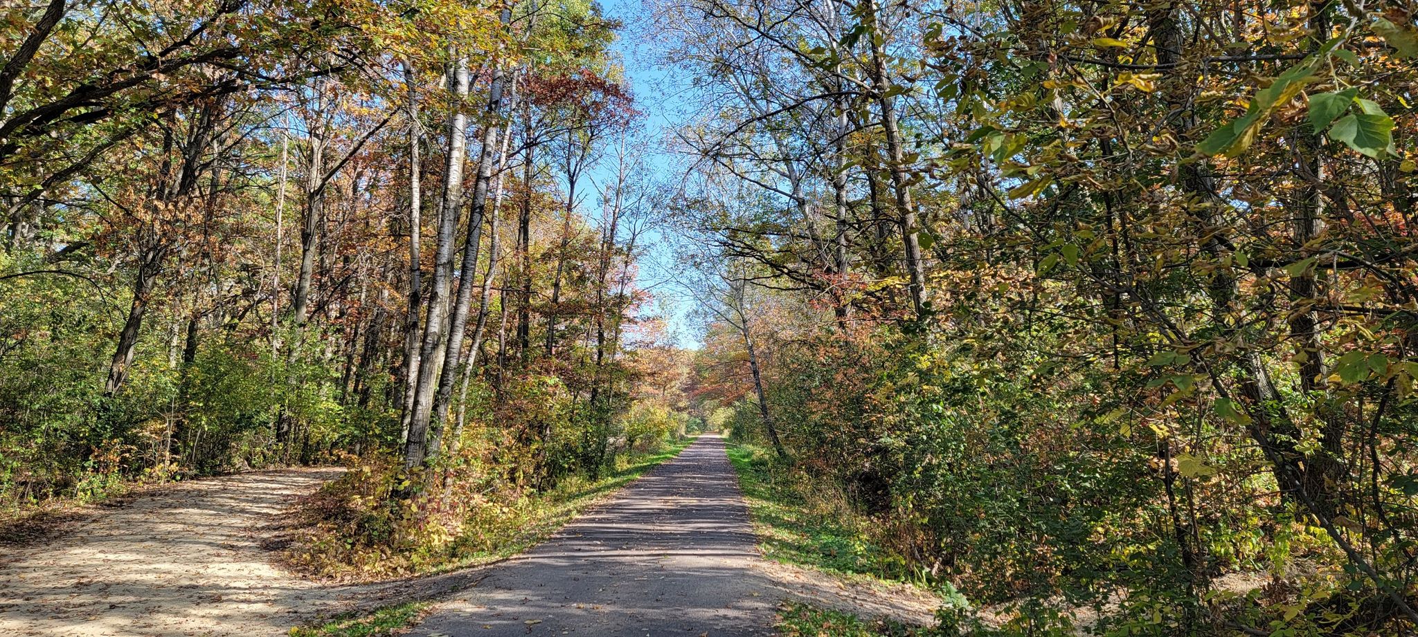 Paved path through a vibrant autumn forest on a sunny day. - Gateway and Bruce Vento Trails Loop