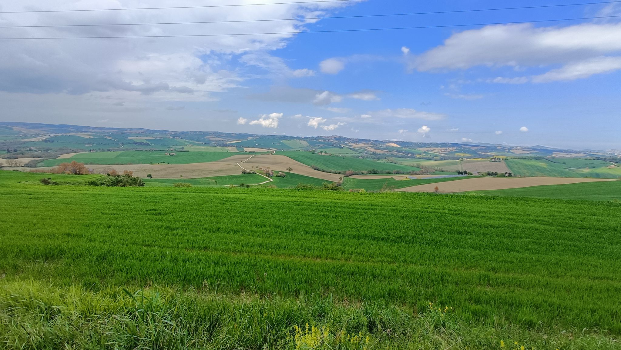 Paesaggio marchigiano con vista su Filottrano