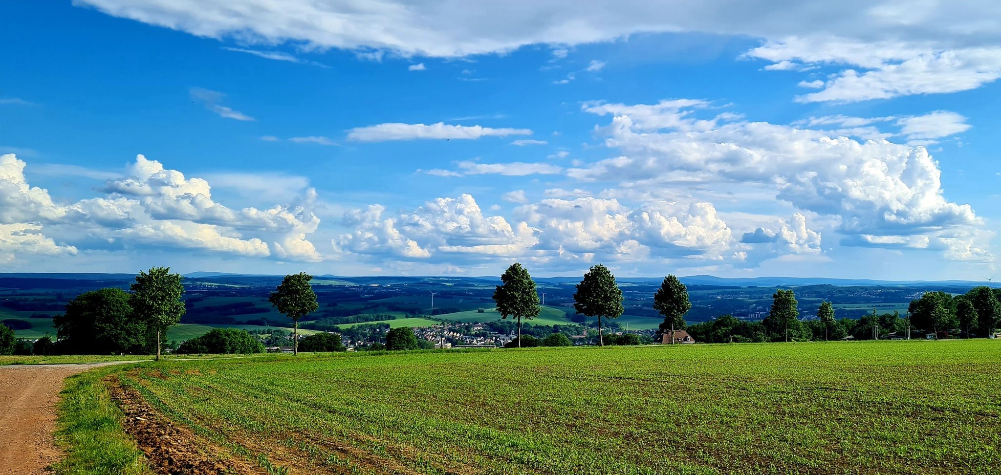 Vom Pfaffenberg Blick nach Hohenstein-Ernstthal