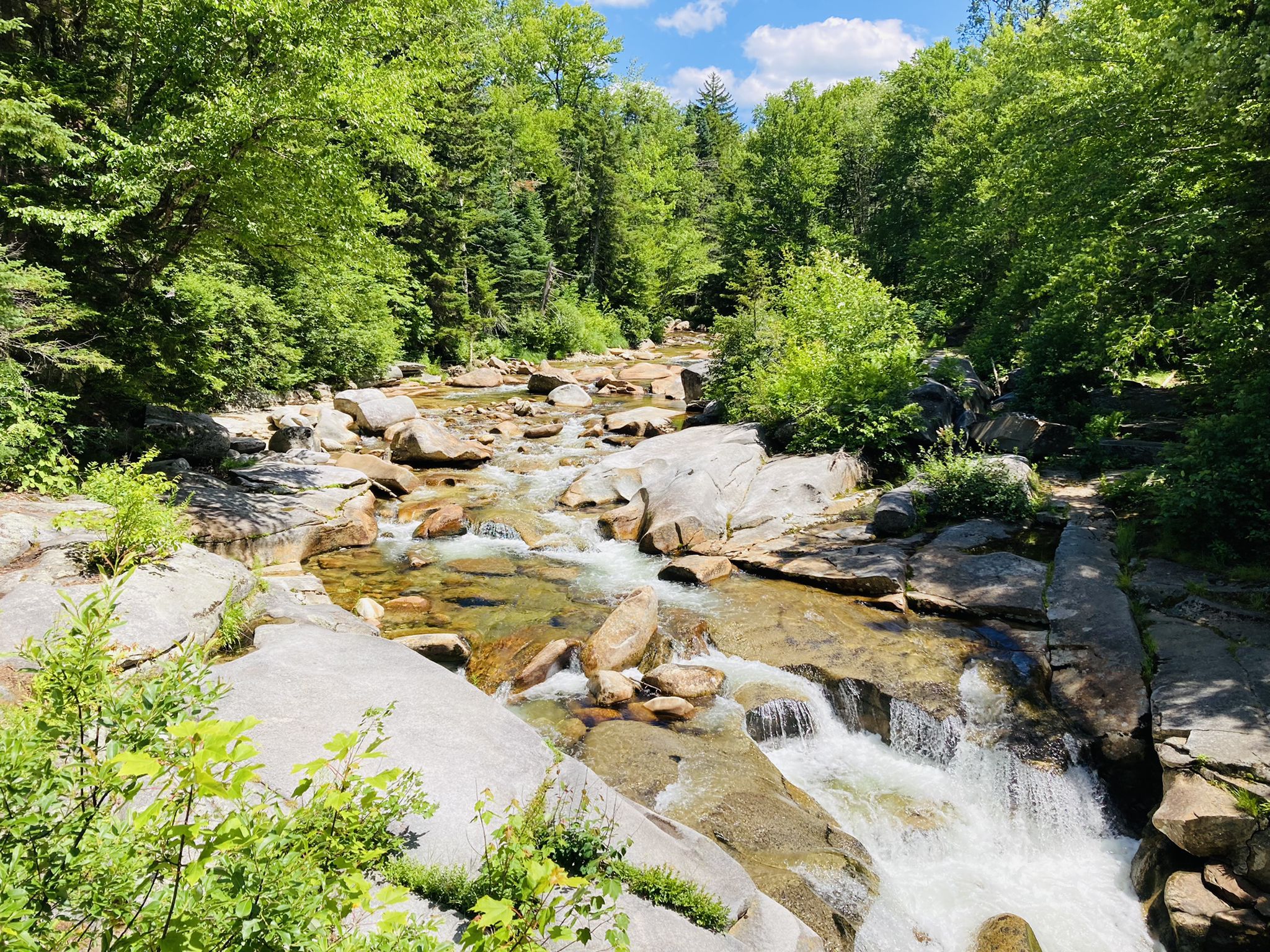 Clear, rocky river cascades through a lush forest under a bright, sunny sky. - Cohos Trail Loop