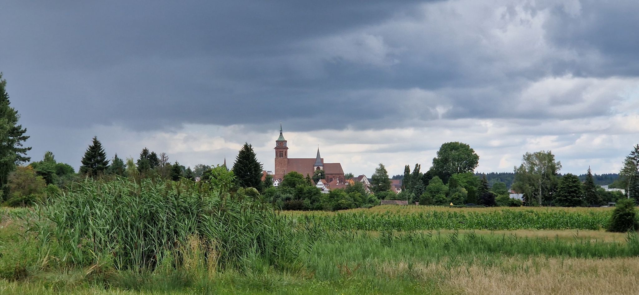 Blick auf Weilderstadt