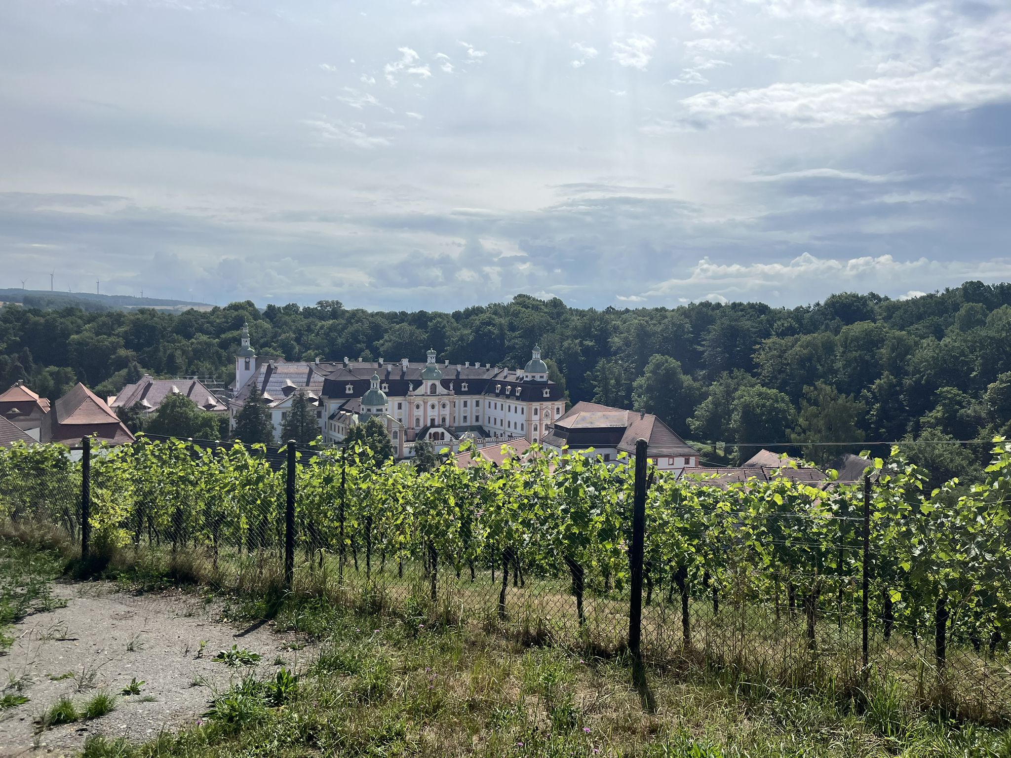 Blick auf das Kloster Marienthal und Weinberg