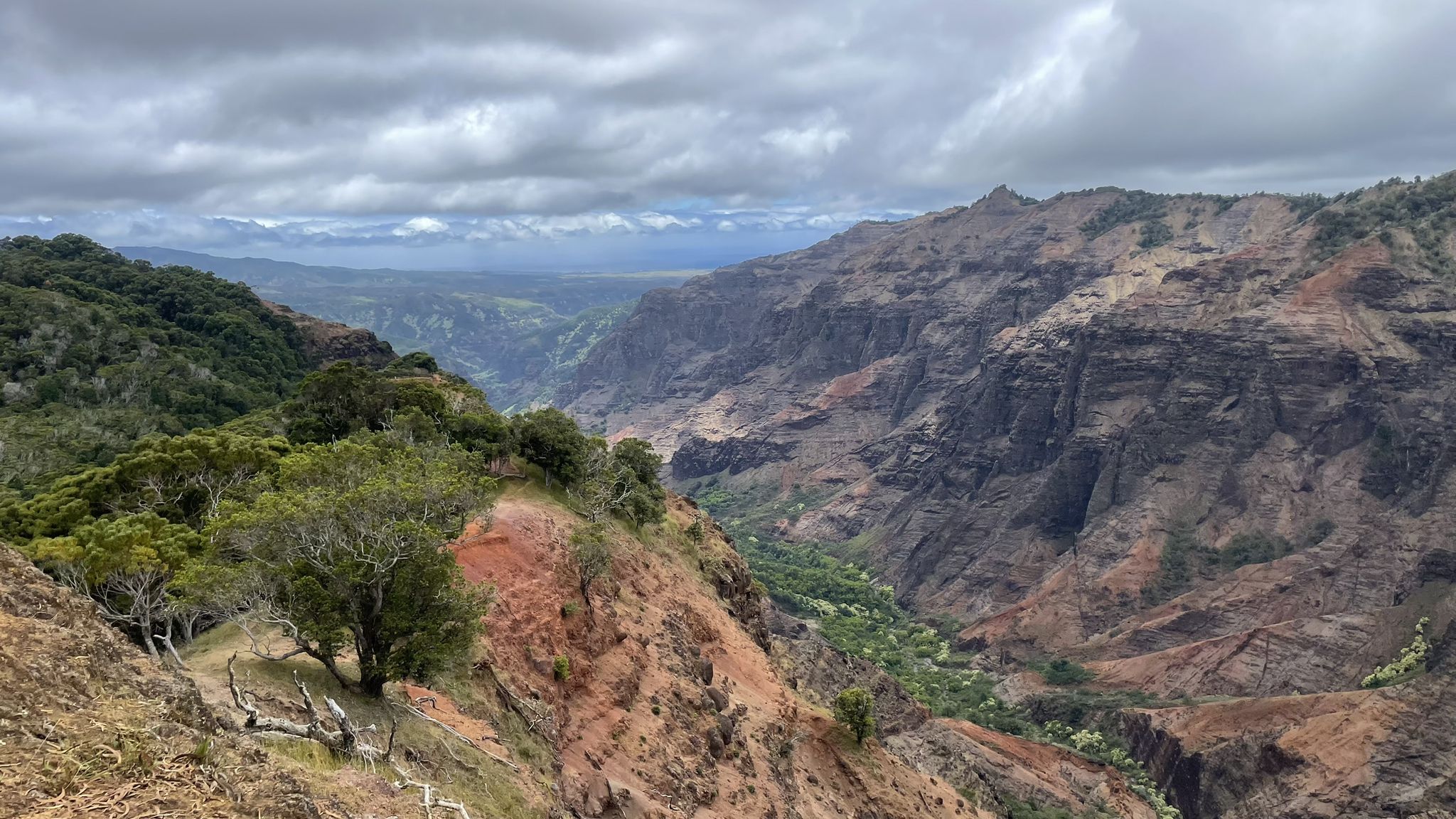Overcast view of a wide canyon with varied rock colors and green foliage. - Pu'u Hinahina Lookout – Rooty Forest Trail loop from Halemanu