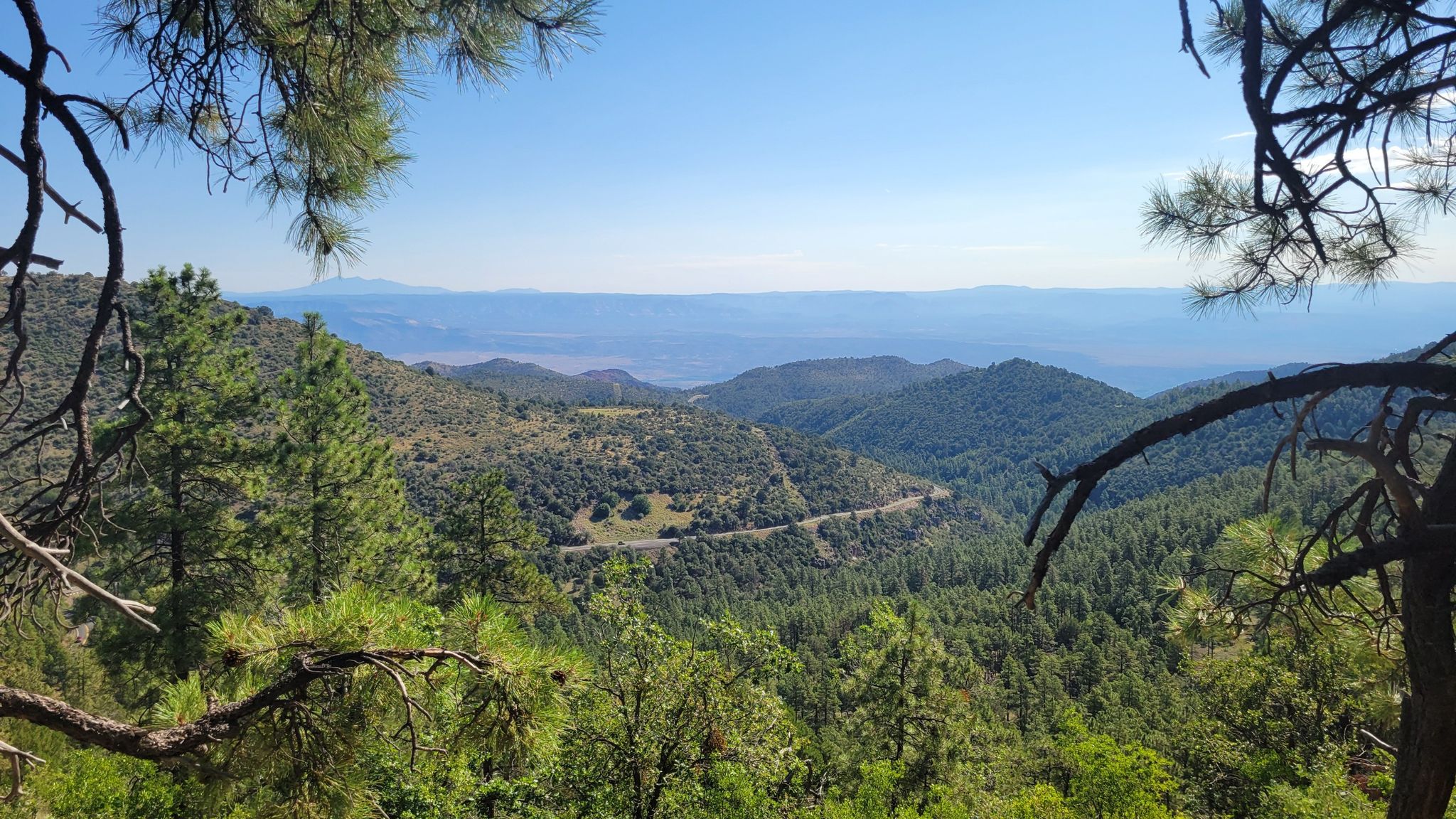Panoramic view of green mountains, a winding road, and distant hazy valleys. - Woodchute Trail #102