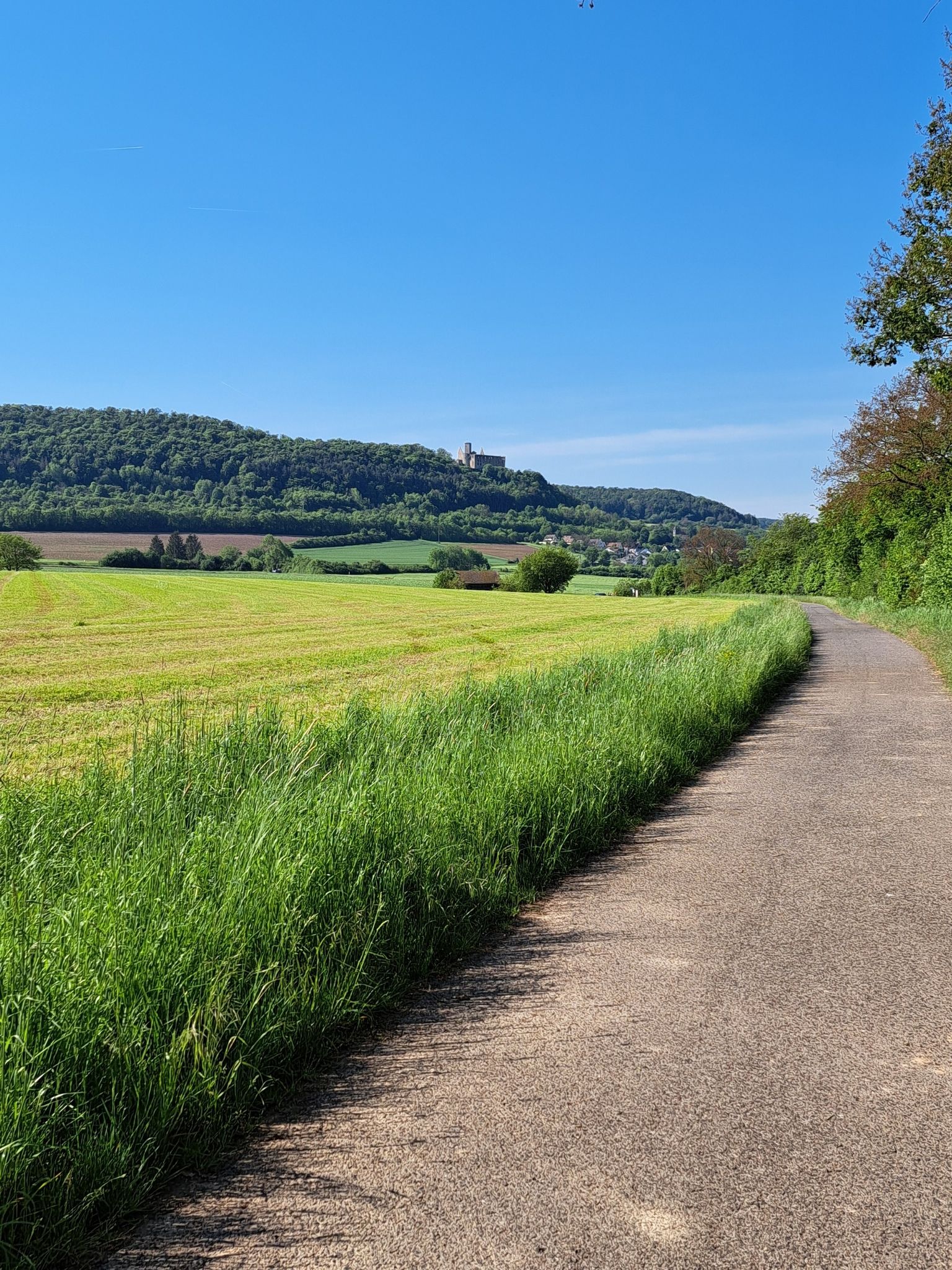 Trimburg