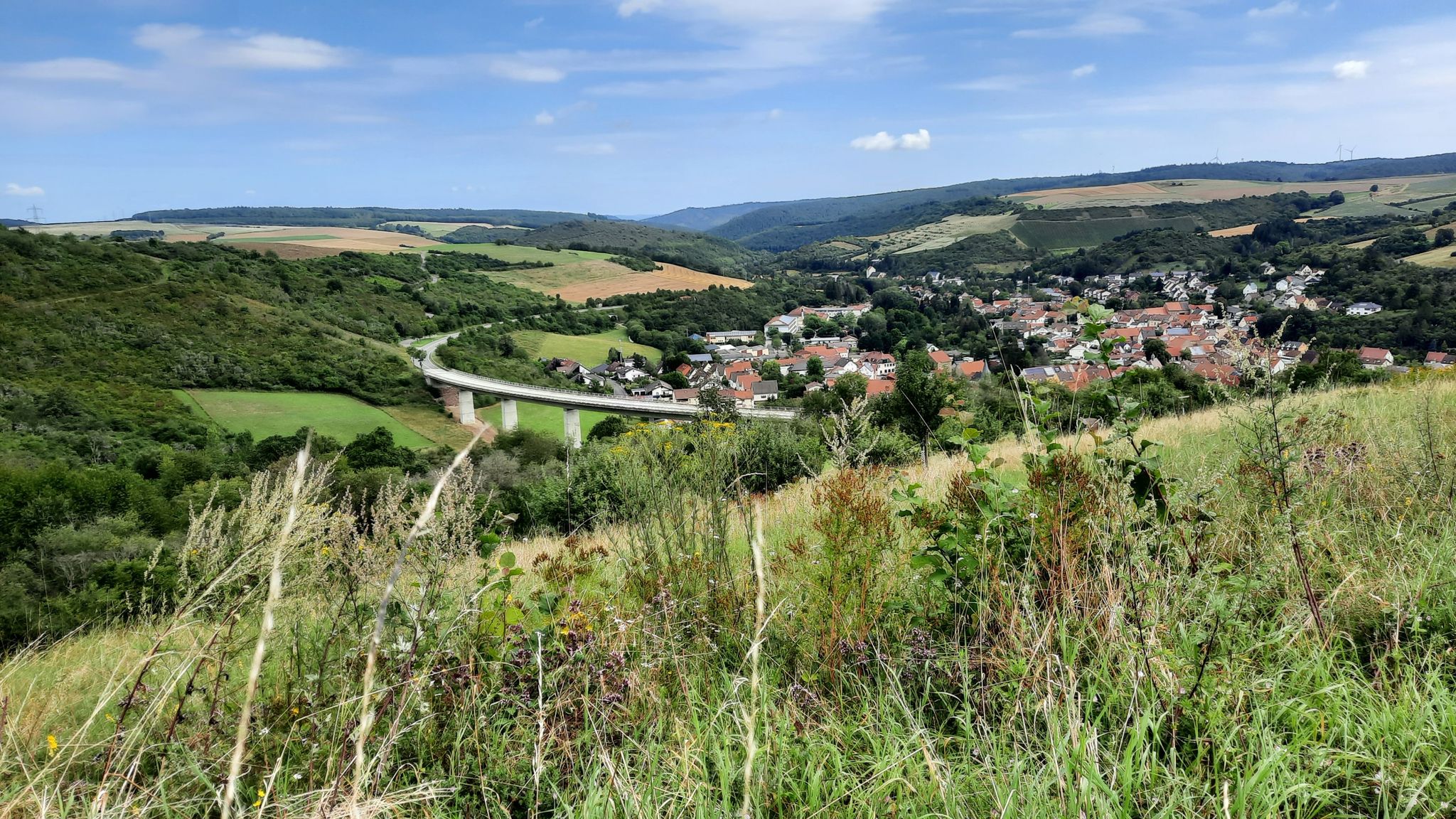 Blick auf Alsenz im Tal der Alsenz