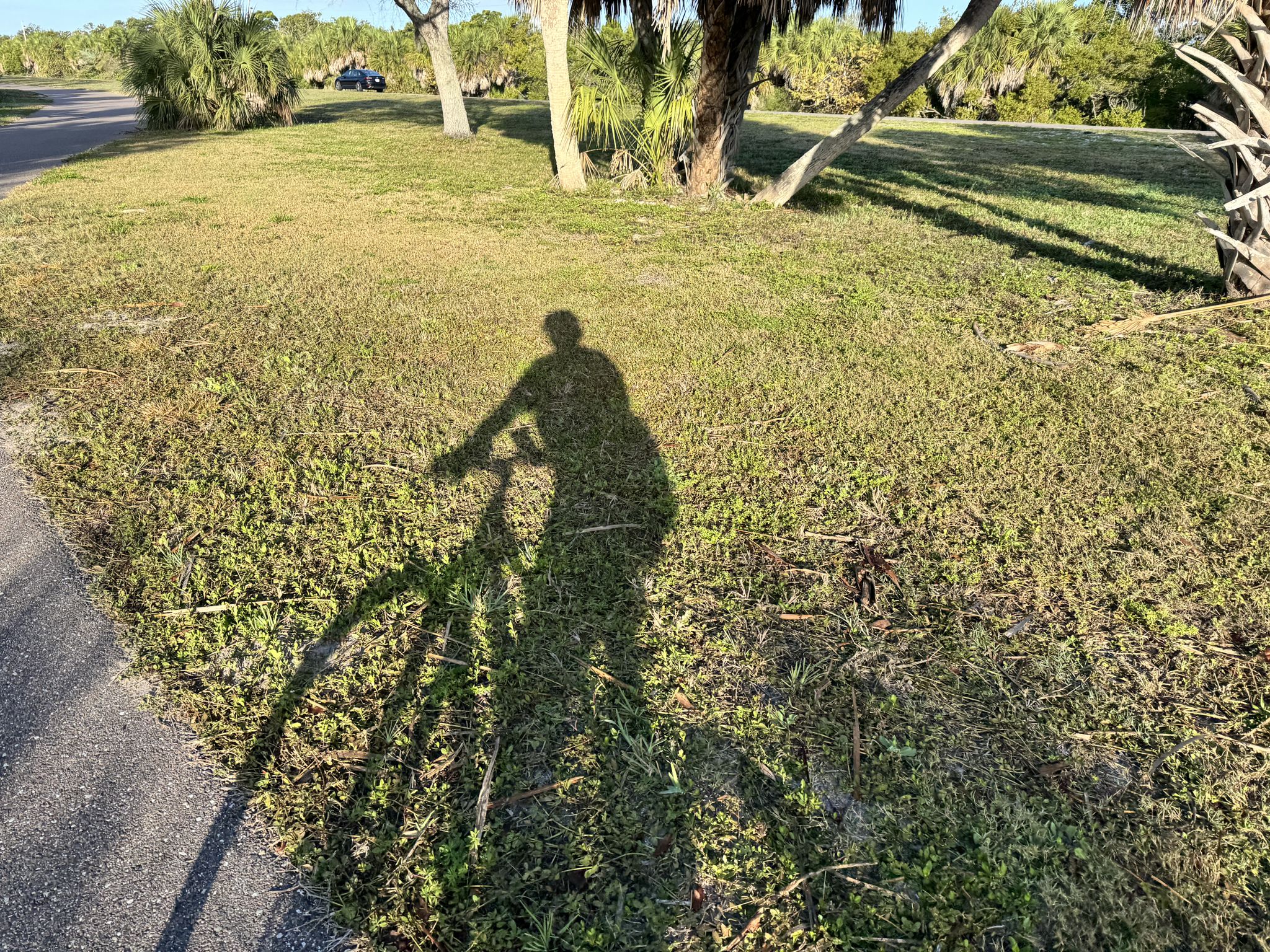 Shadow of a person riding a bicycle on green grass in bright sunlight. - Fort De Soto Recreational Trail
