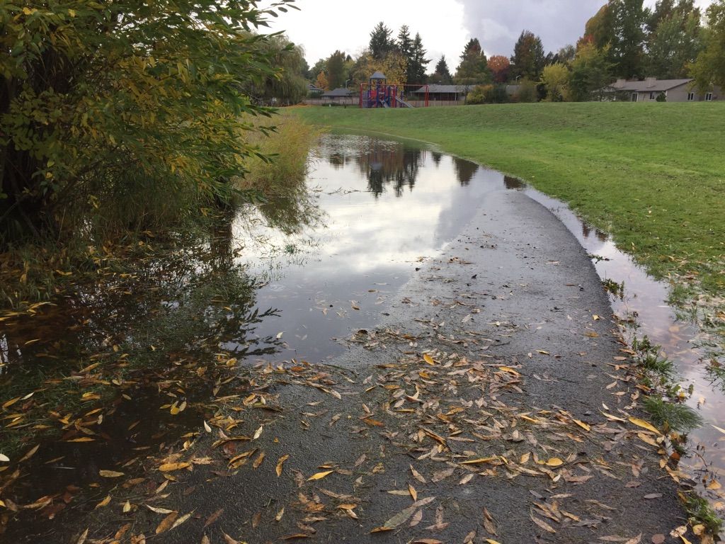 Overcast day, a paved path is flooded with water and fallen leaves. - Knoll Center Wetlands Park – Fanno Creek Trail loop from Hall/Nimbus