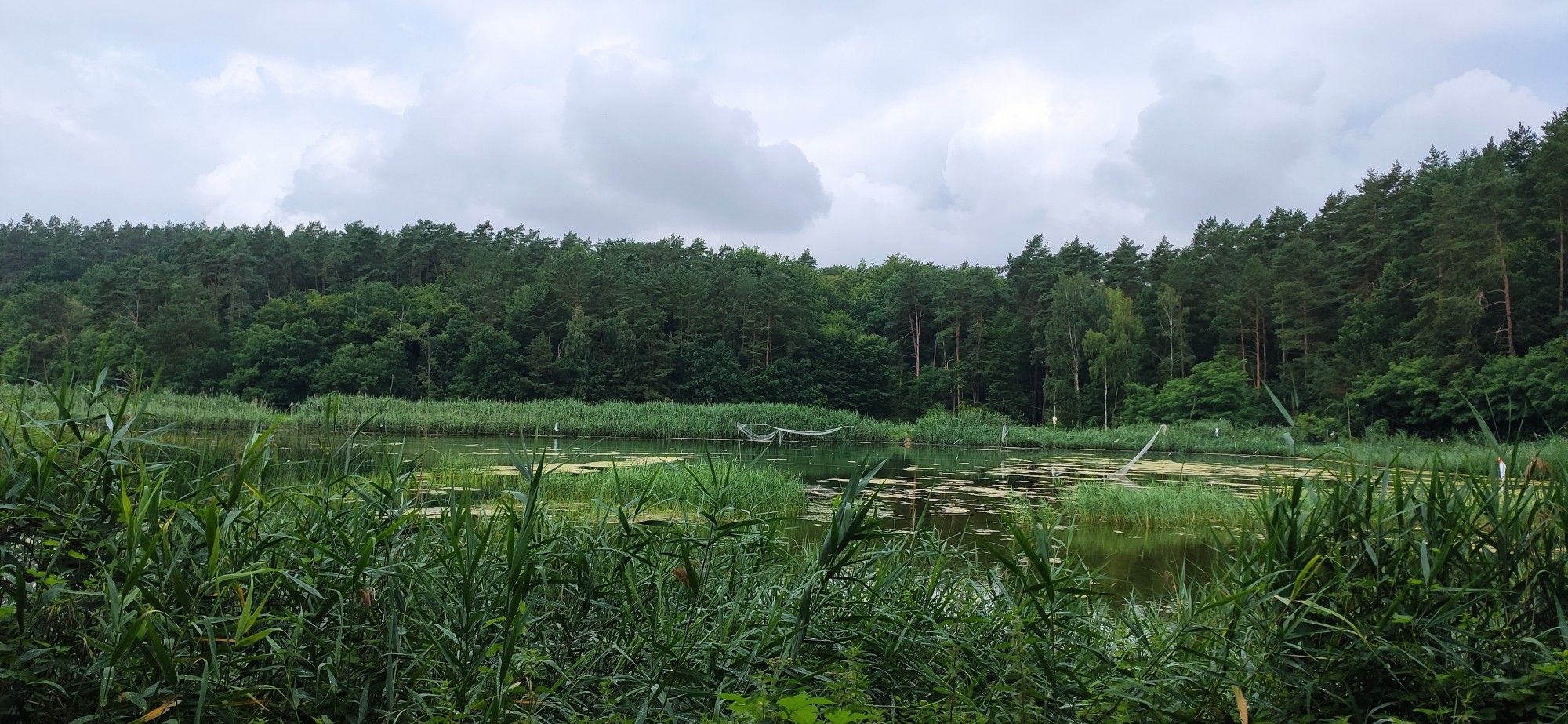 Fischteiche