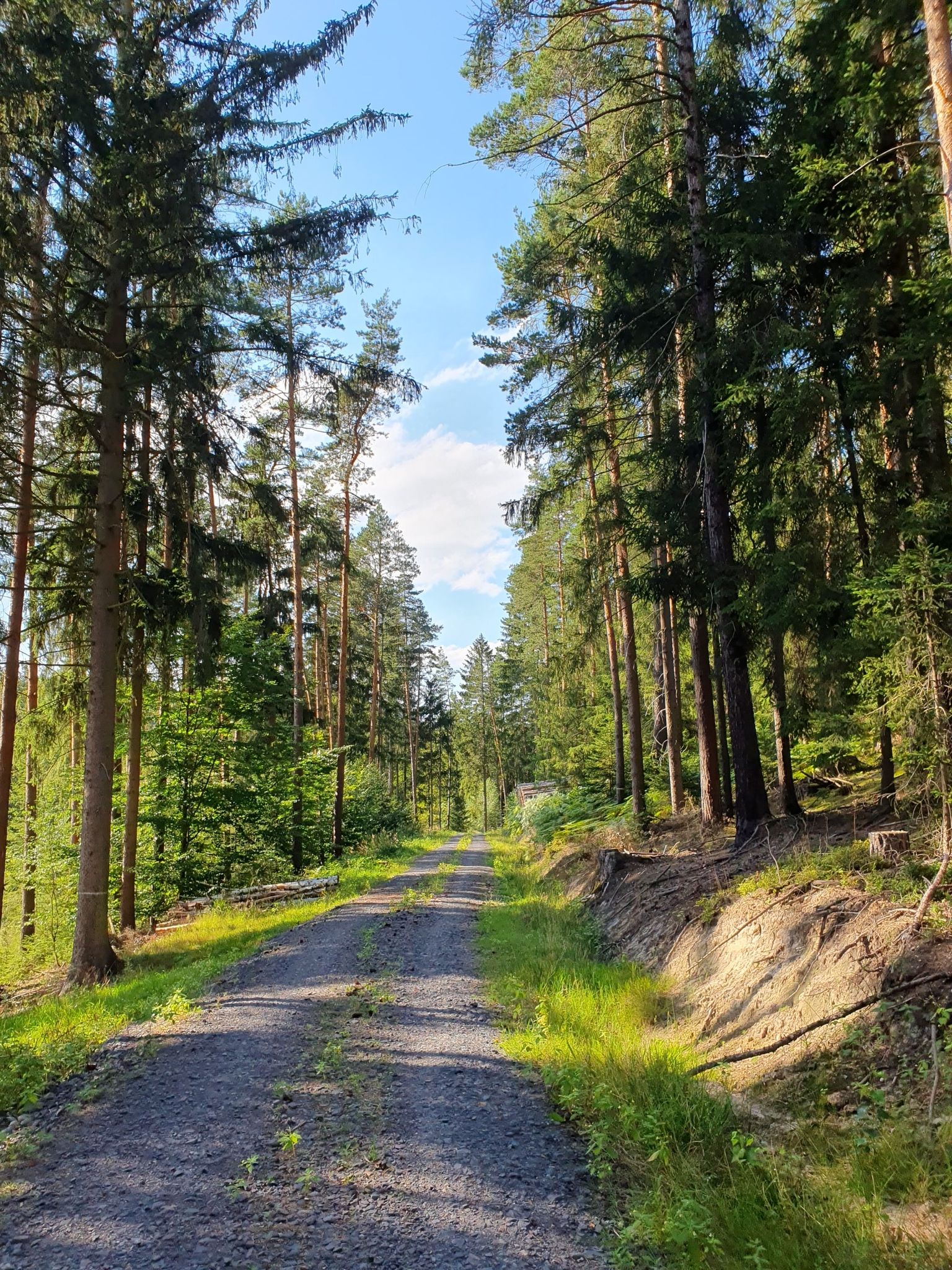 Altenrodaer Grund