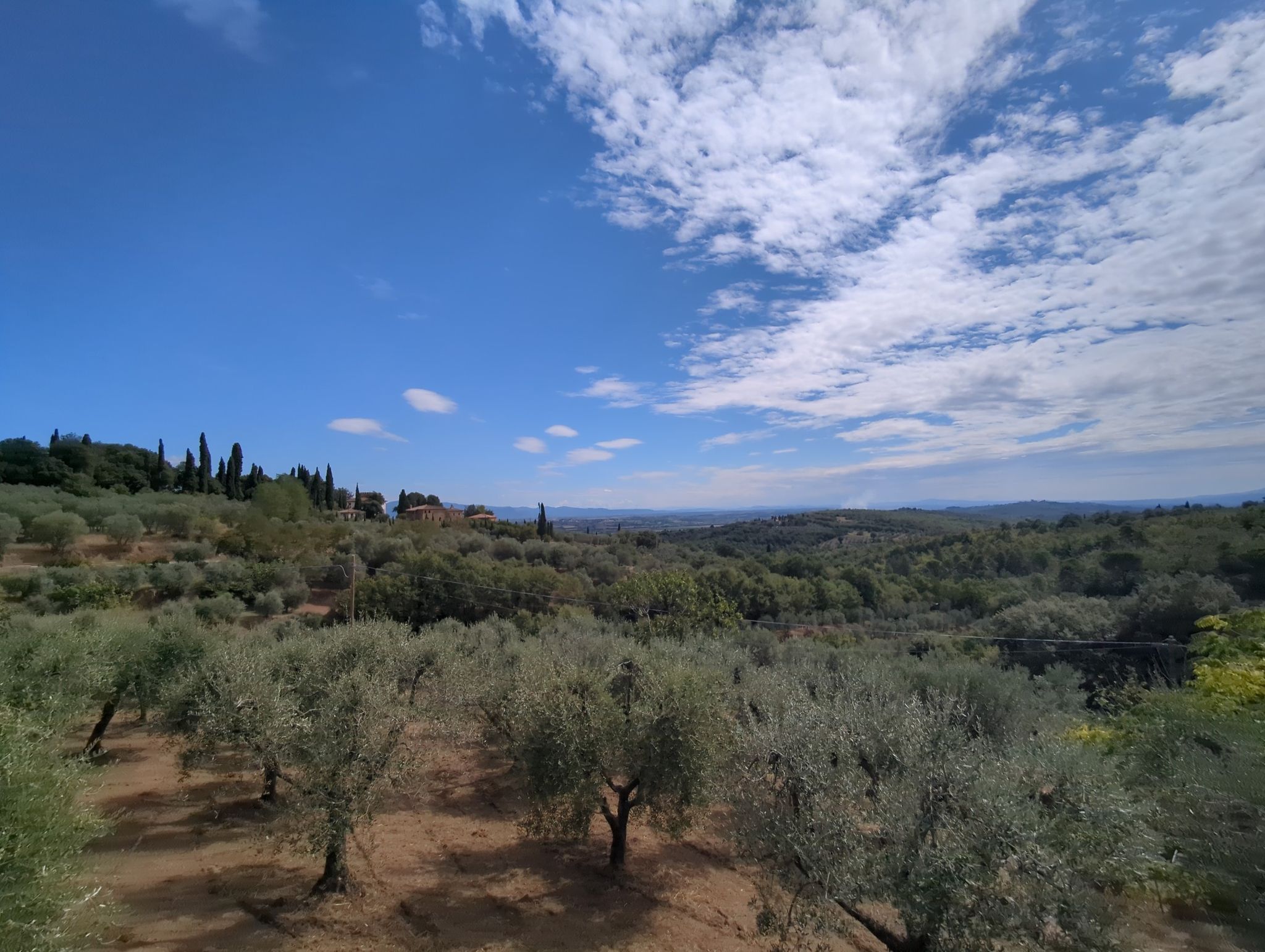 typisch Toscana