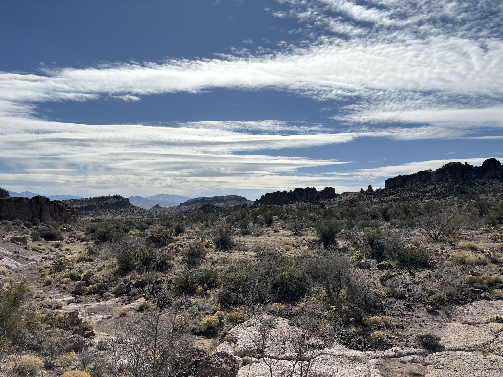 Wide desert landscape with rocky hills, sparse vegetation, and a cloudy sky. - Cerbat Foothills loop