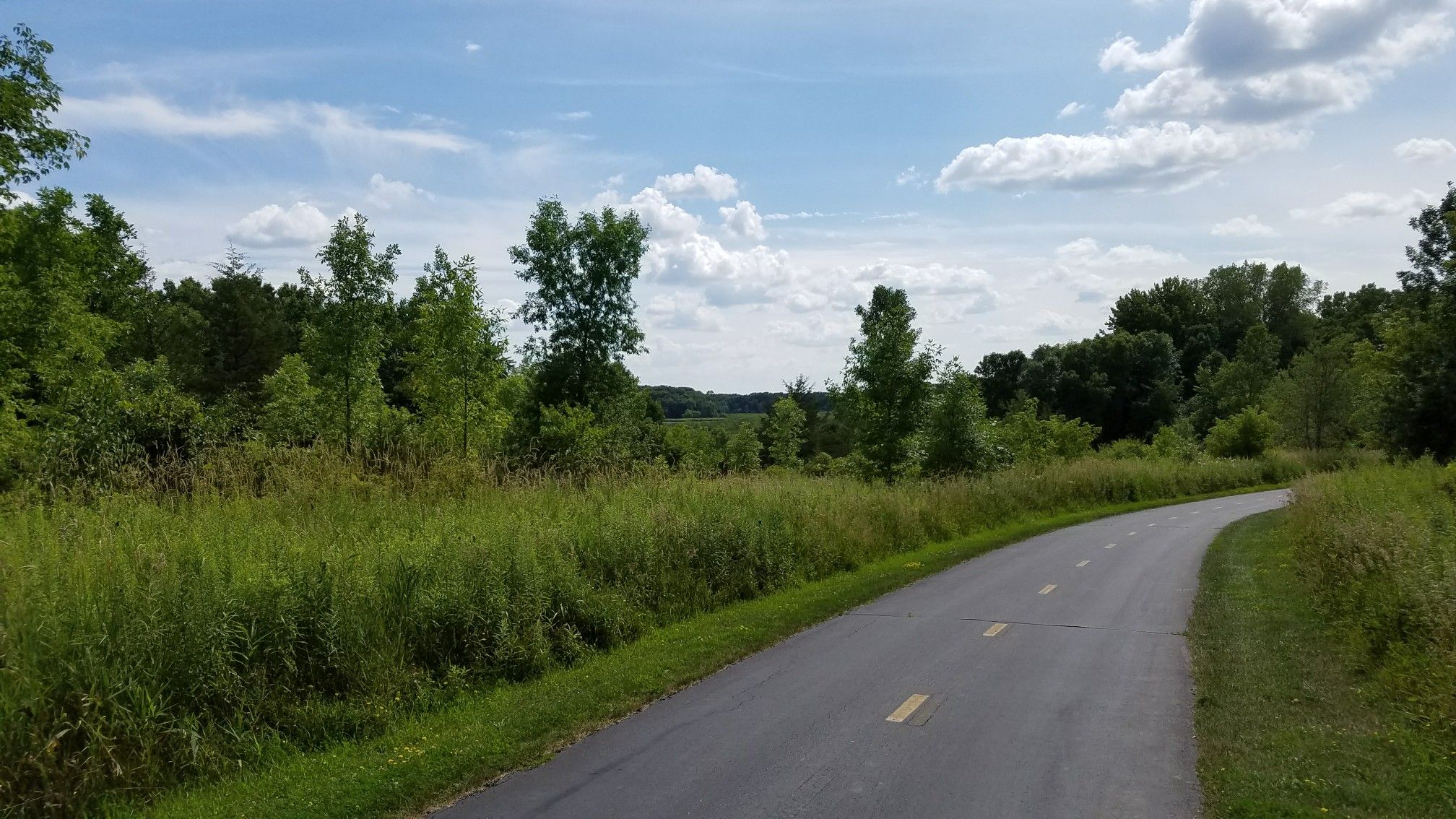 Paved path curving through green fields and dense trees under a blue sky. - Dakota Rail Regional Trail – Arcola Trestle Bridge loop from Orono