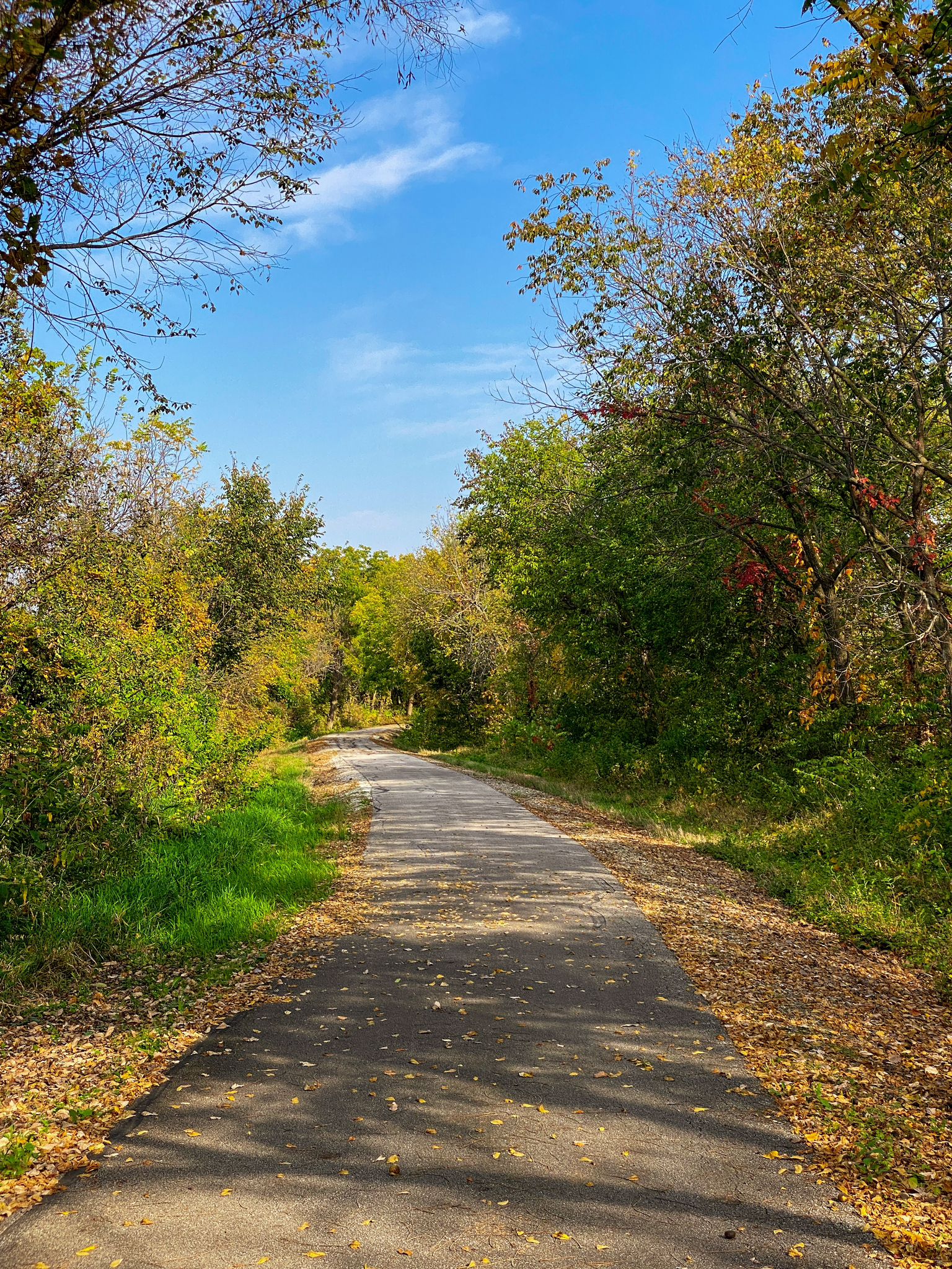 Paved path winding through green and autumn trees under a bright blue sky. - Summerset Trail