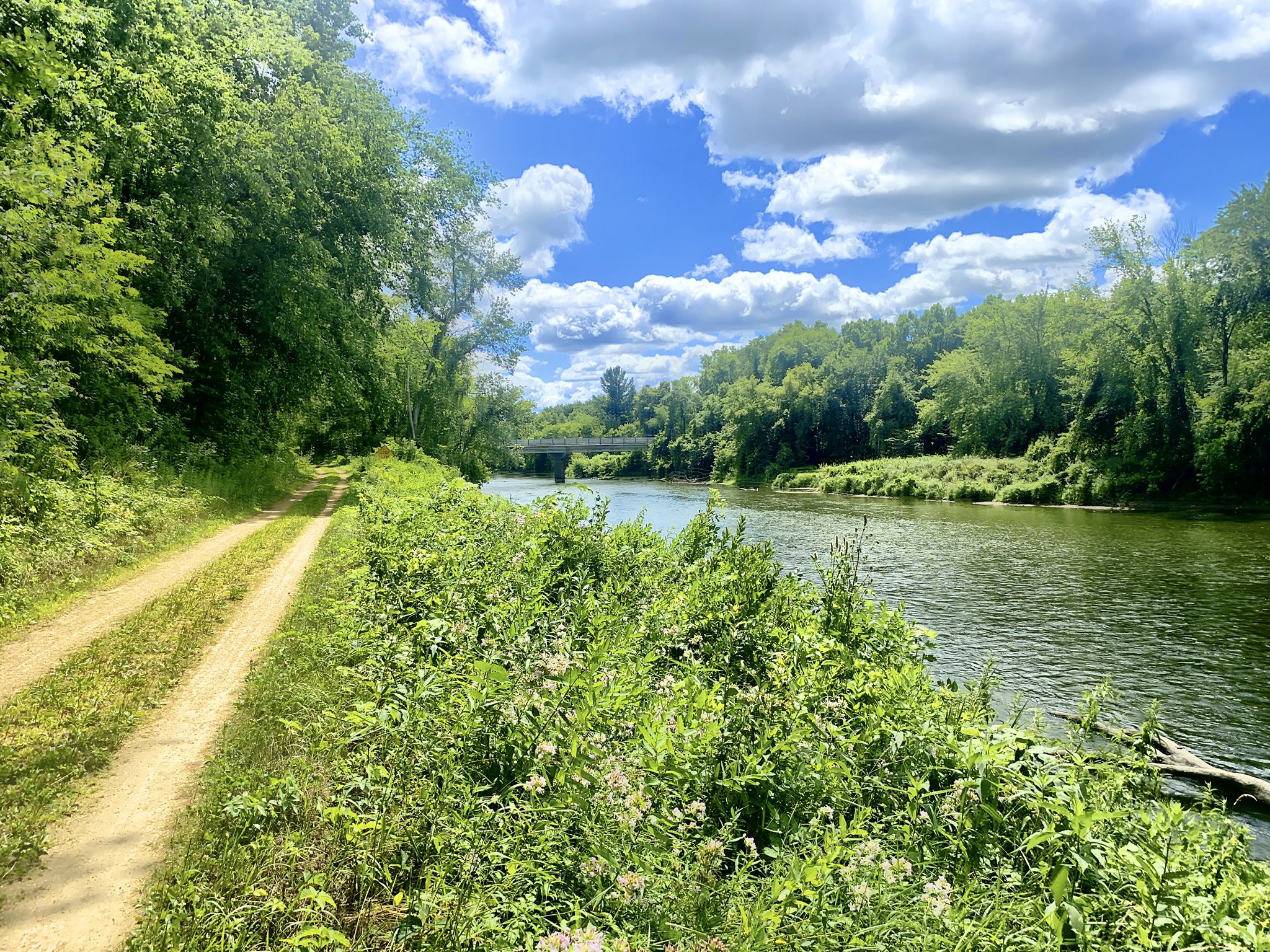 Sunny dirt path next to a green river, dense forest, and distant bridge. - Devil's Punchbowl loop from Menomonie