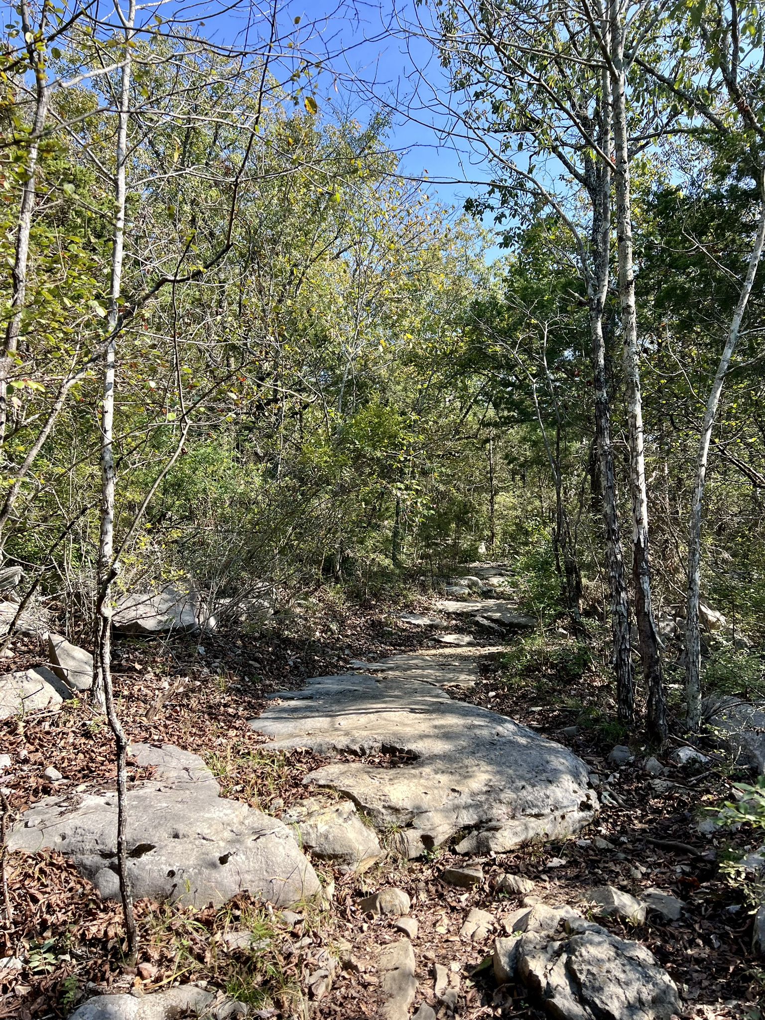 A sunlit, rocky path winding through a forest with green and autumn trees. - Bluff Line Trail and High Trail Loop