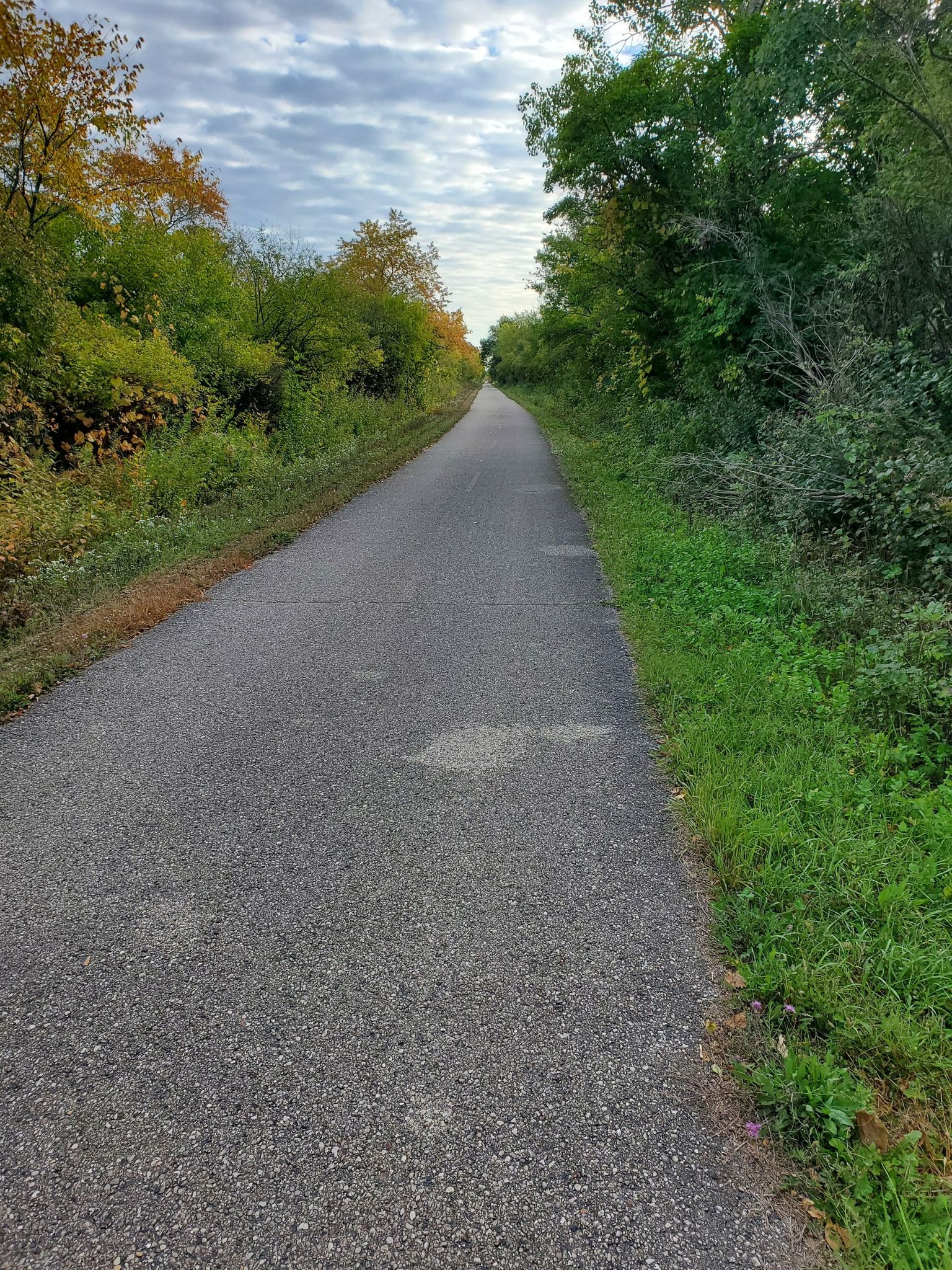 Paved path lined by trees with early autumn colors under a cloudy sky. - Wooden Bridge Over Trail loop from Waukesha