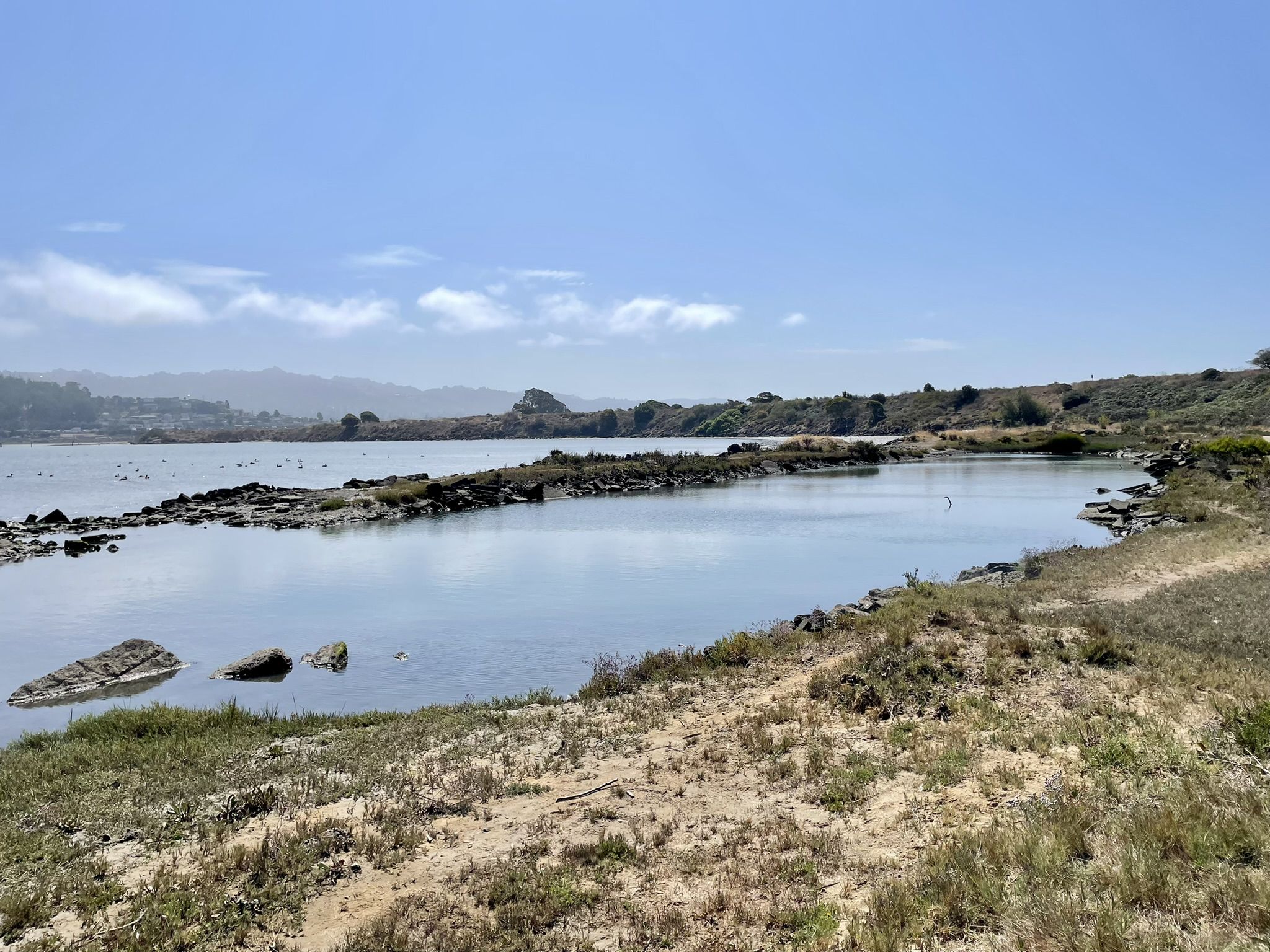 Calm water with rocky shores, distant hills, under a bright blue sky. - Albany Bulb and Waterfront Trail