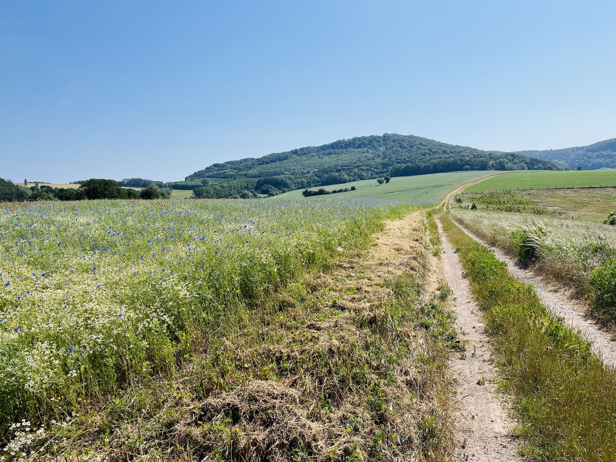 Unter der Boyneburg entlang🚲🌞