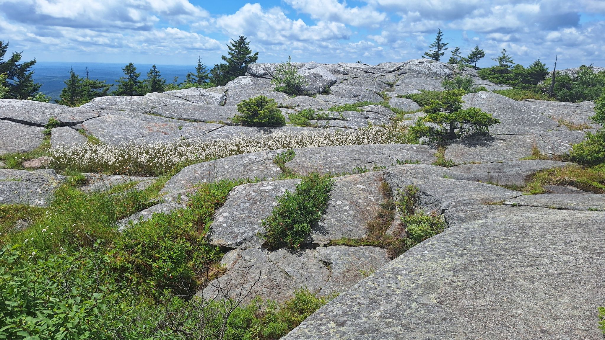 Sunny mountain top with large grey rocks, green shrubs, and distant horizon. - Old Halfway House and White Arrow Trail