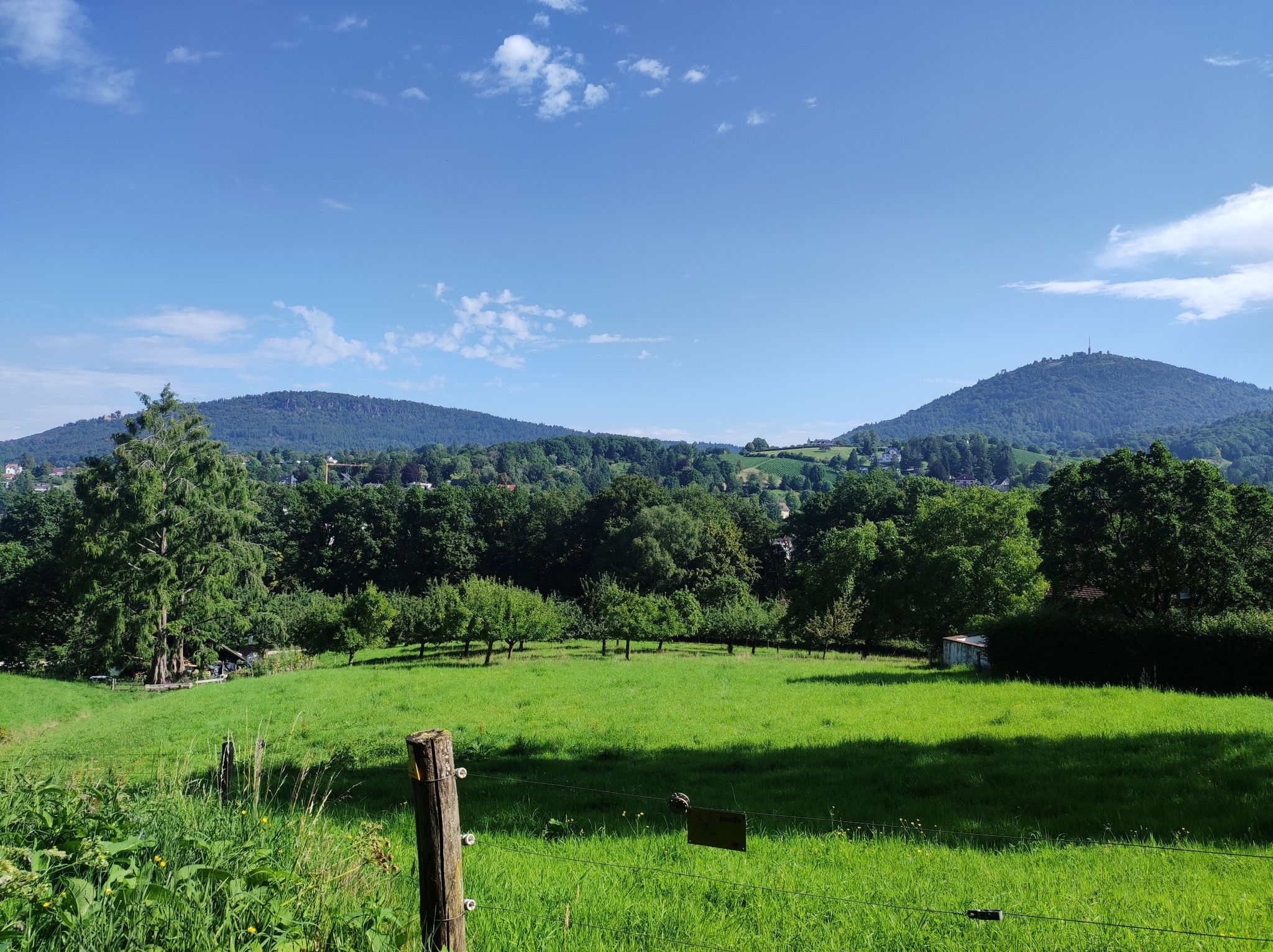 Obstgut Leisberg